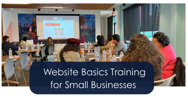 Website Basics Training for Small Businesses