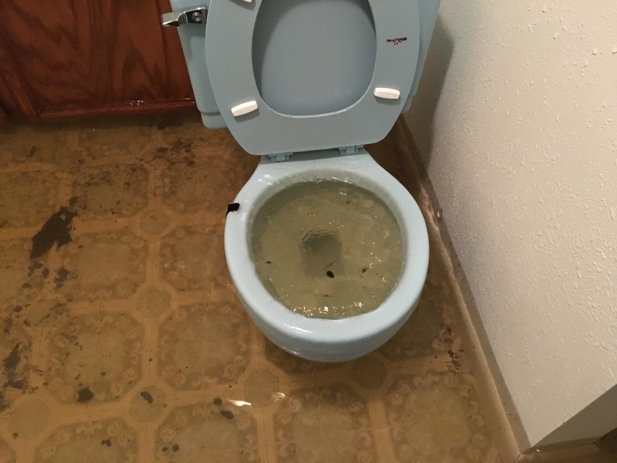 Sewage Cleanup Gillette WY: What to Do After a Backup