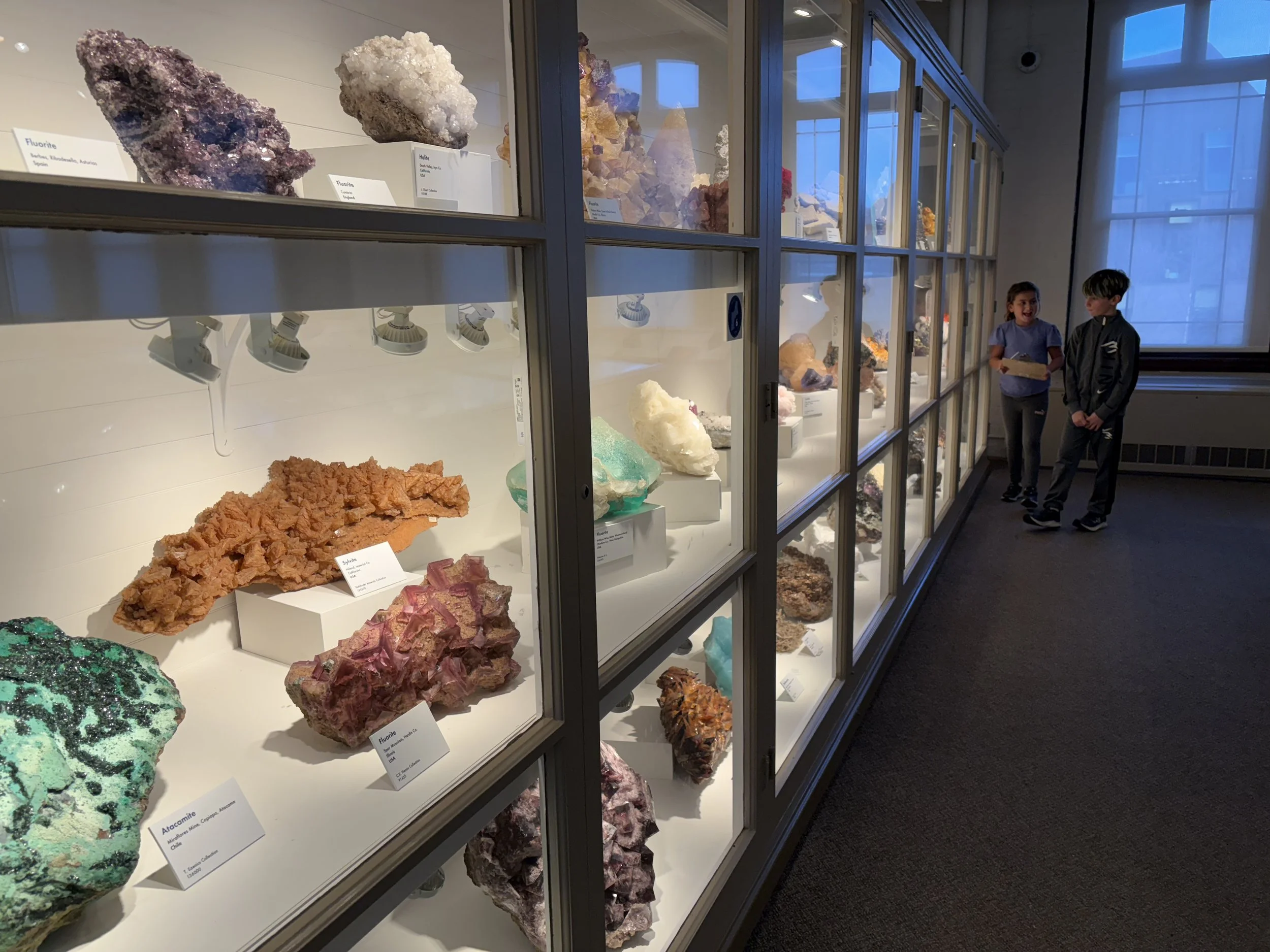 Two children talking inside a museum, looking at a display case with various mineral and crystal specimens. The case contains colorful mineral rocks and crystals, with labels in front of each specimen. The room has large windows letting in natural light.