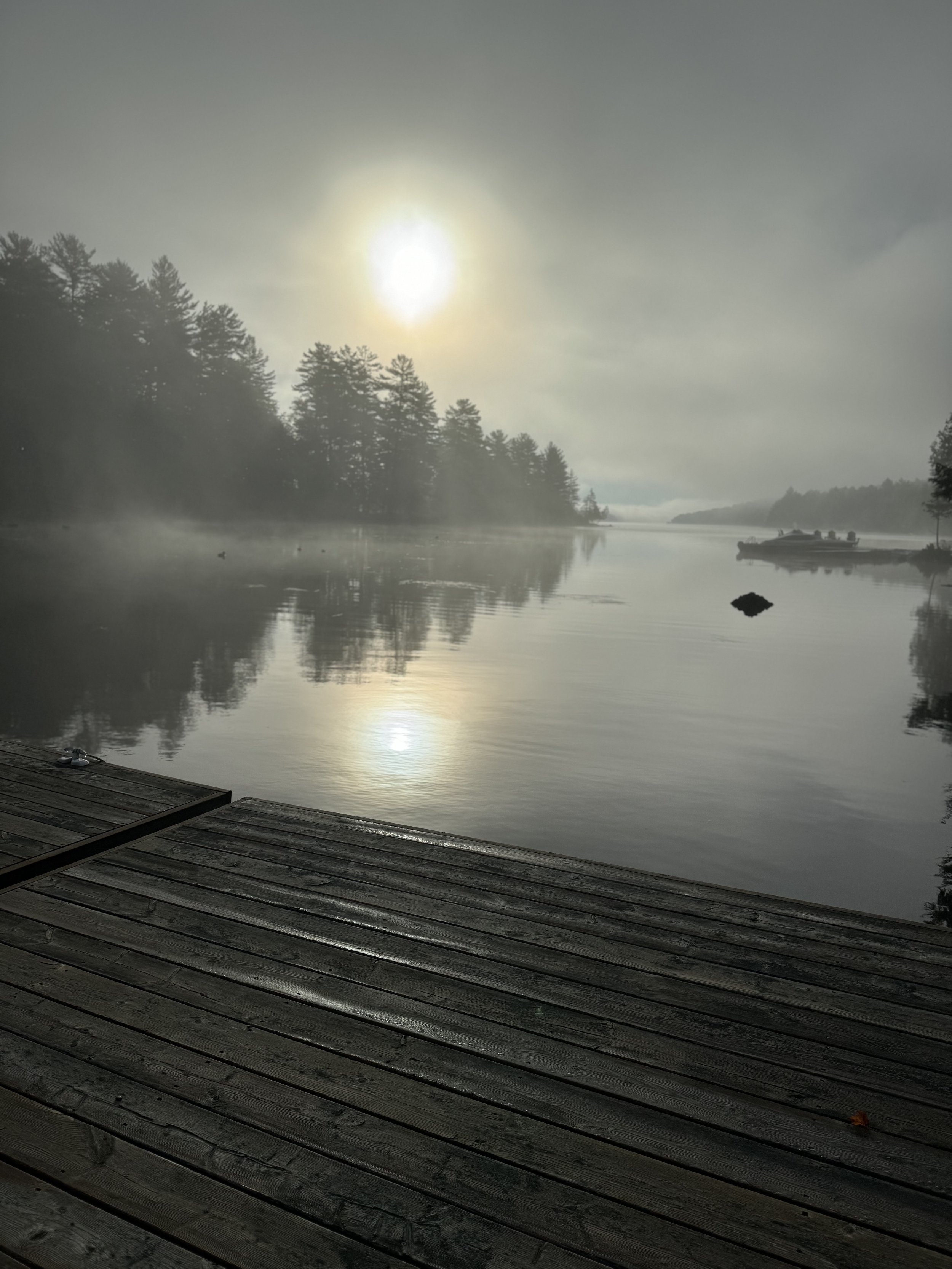 viewfrommydockcottage 3.jpeg