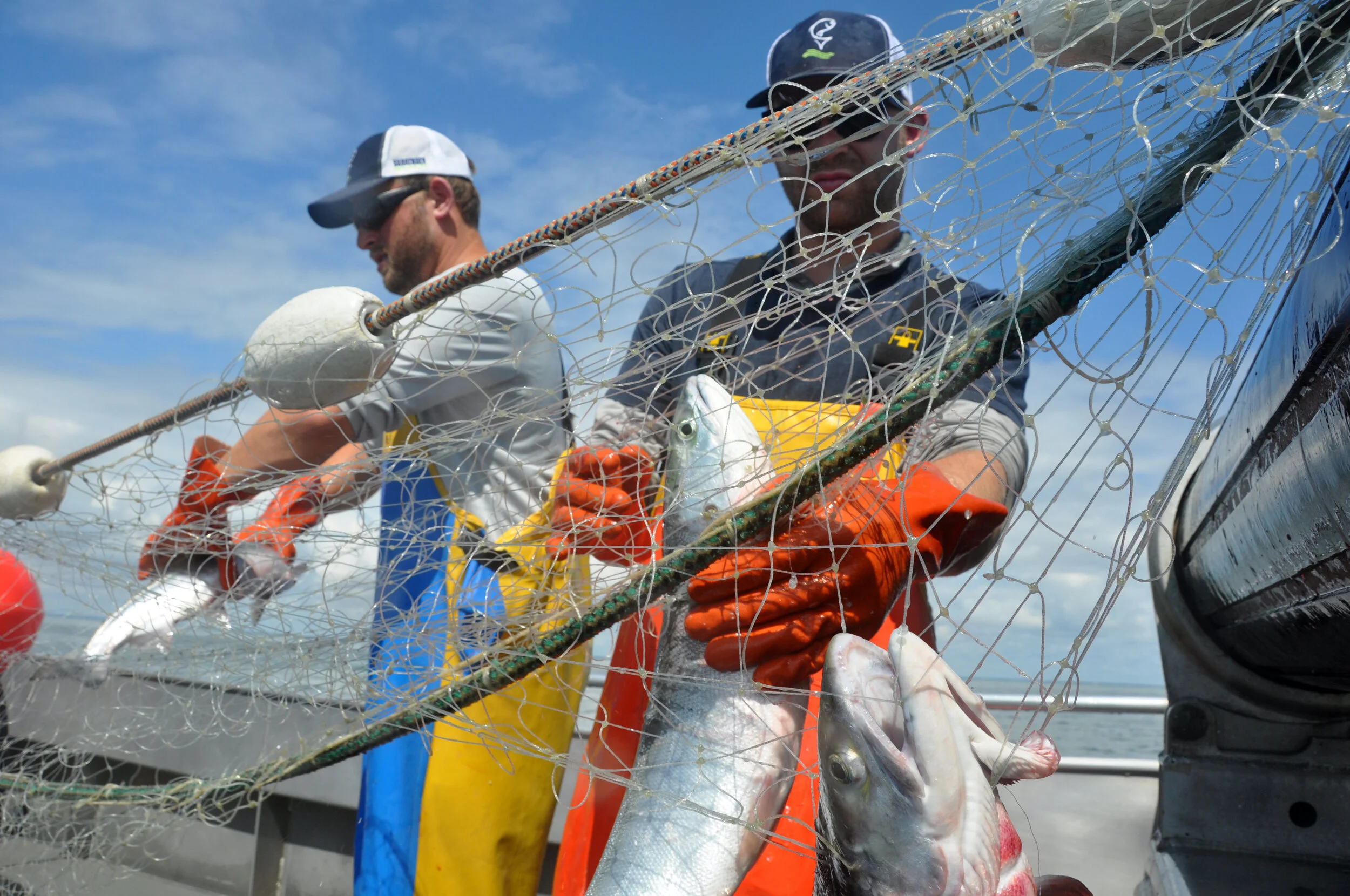 Two fishermen on a boat holding a fishing net with caught fish, including a haddock, with blue sky and clouds in the background.