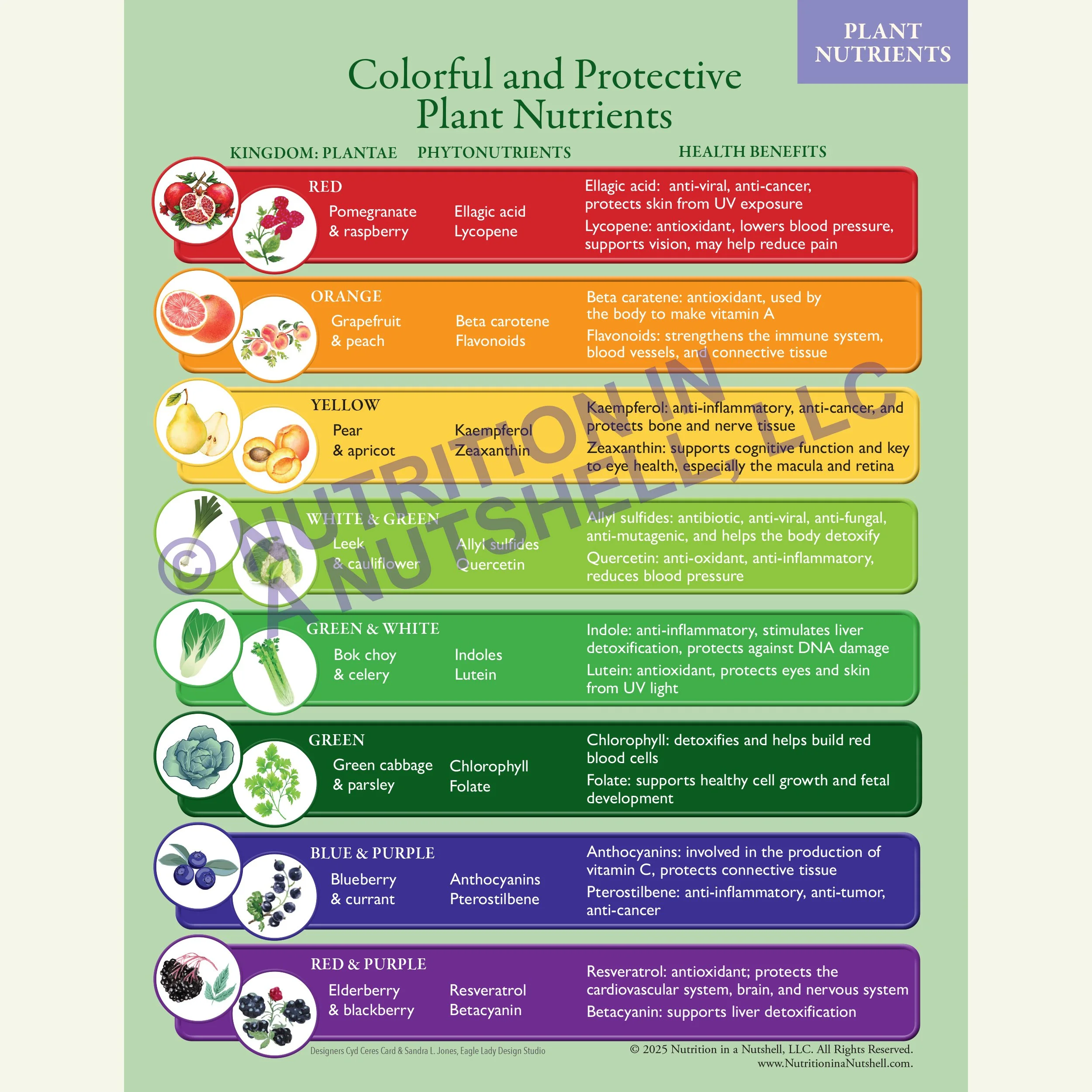 FREE DOWNLOAD! Colorful and Protective Plant Nutrients CHART