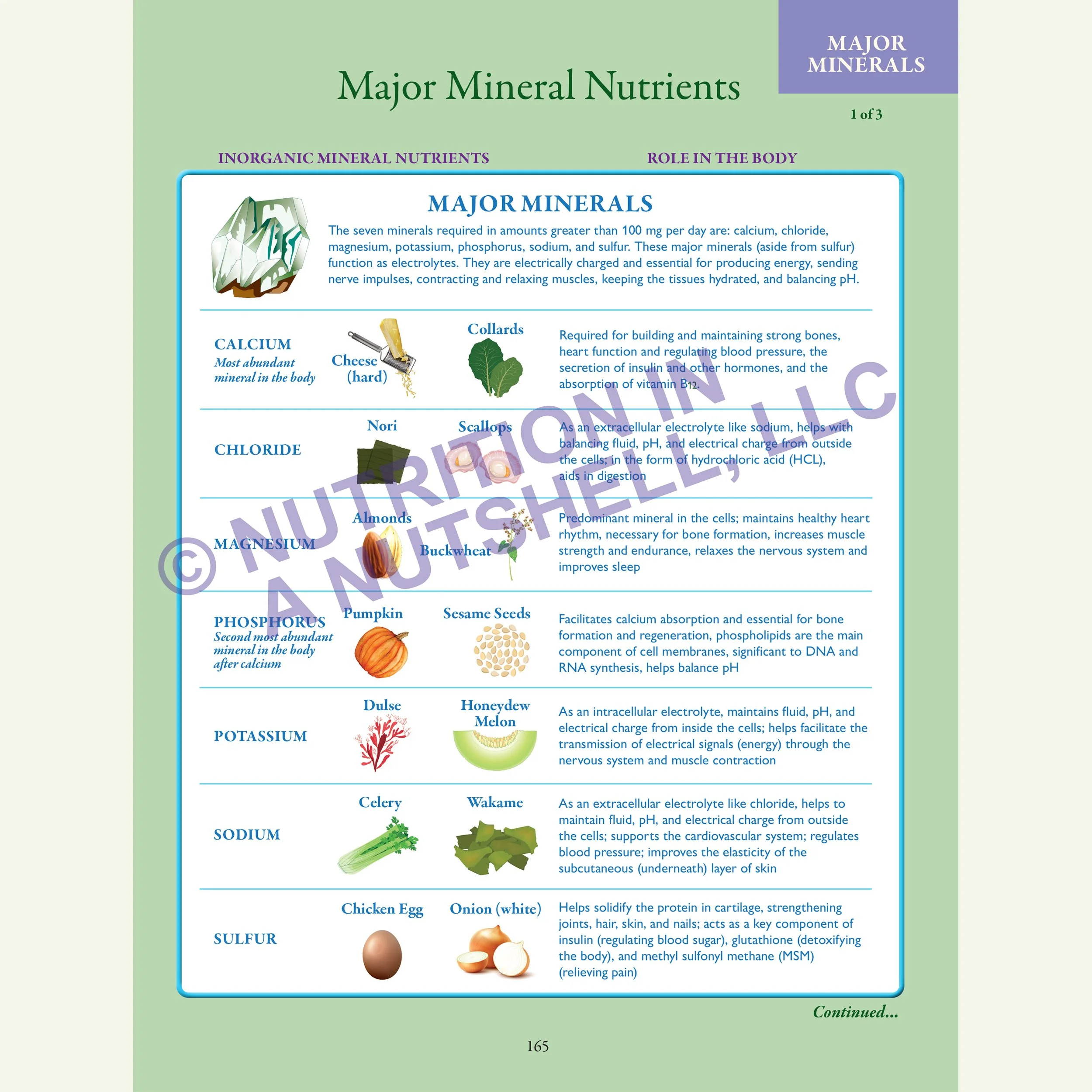 8_Nutrition in a Nutshell_ACROSS_ALL_THE_KINGDOMS_VITAL_MINERALS.jpg