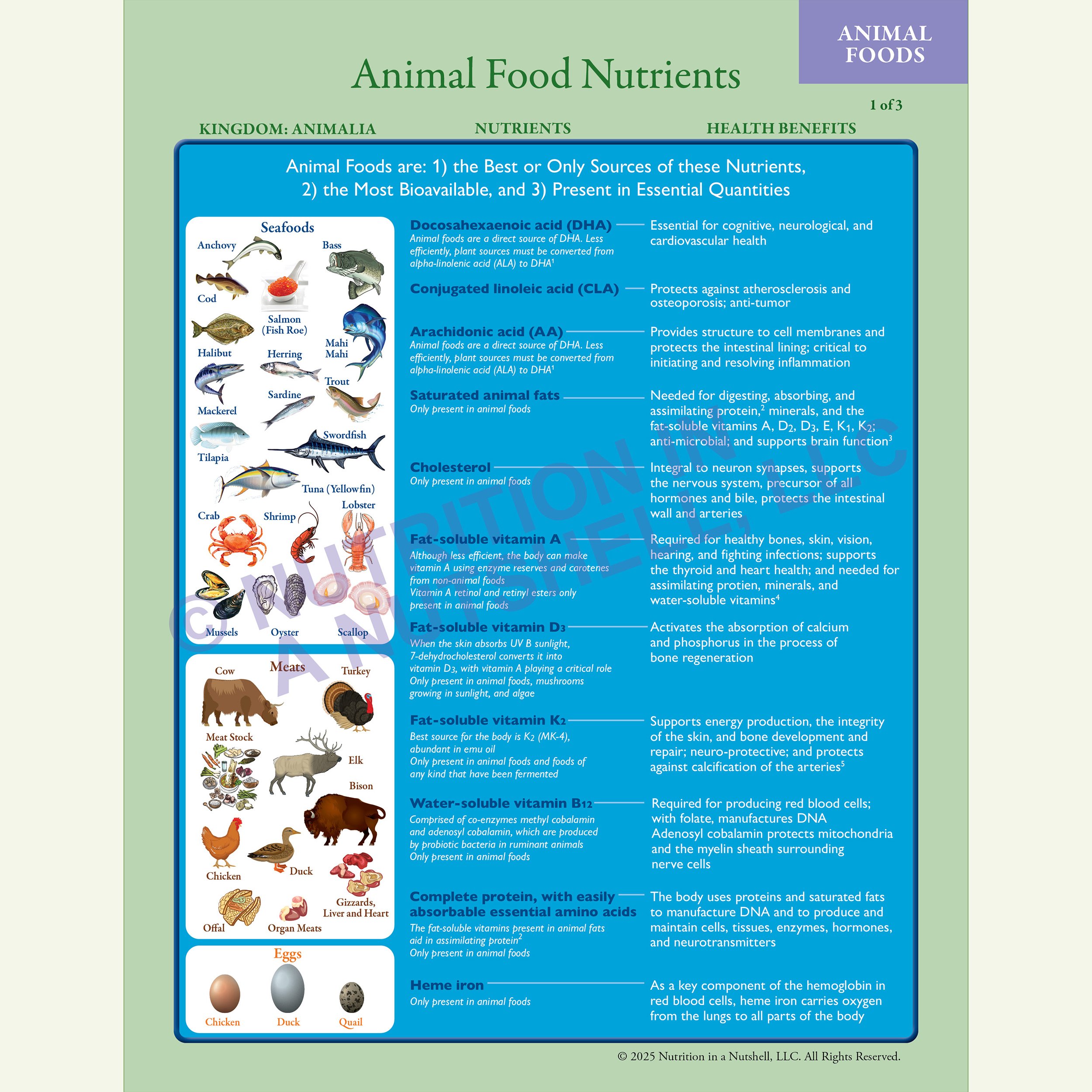Animal Foods Nutrients CHART