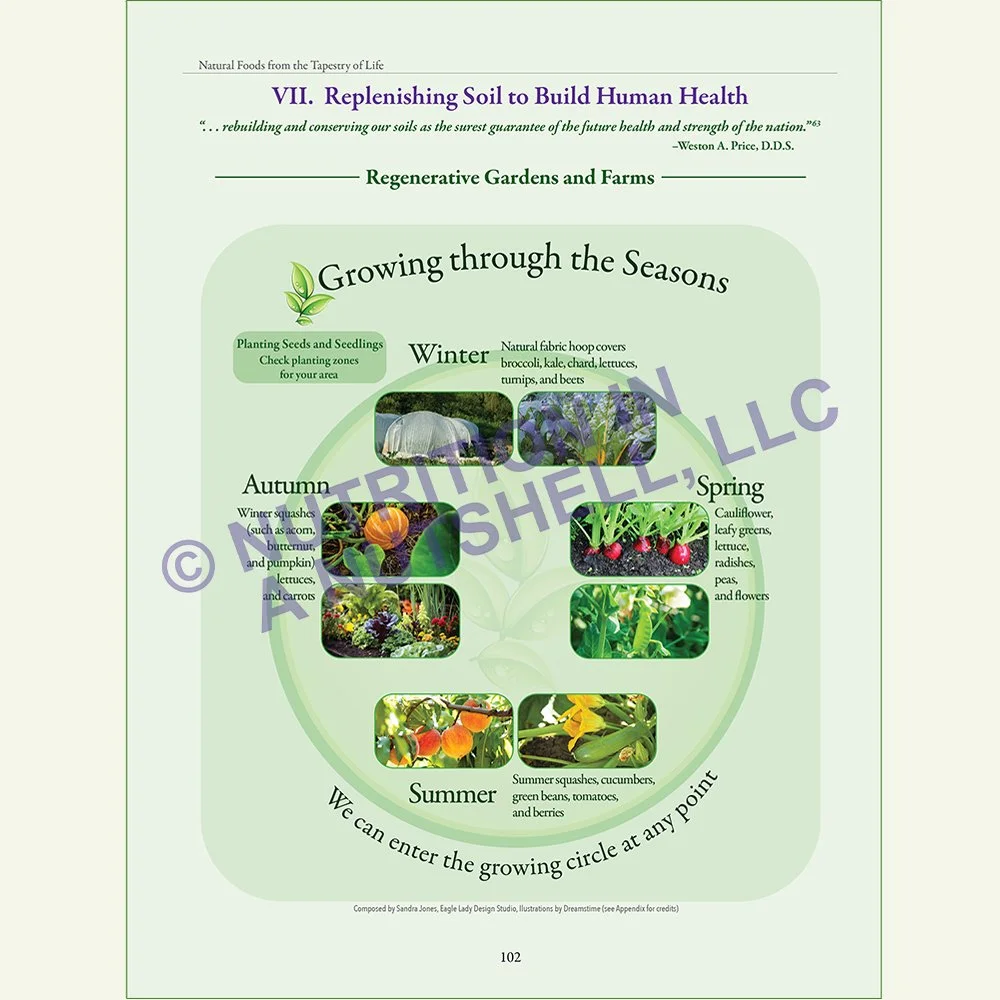 Natural_Foods_from_the_Tapestry_of_Life_Book_GROWING SEASONS.jpg