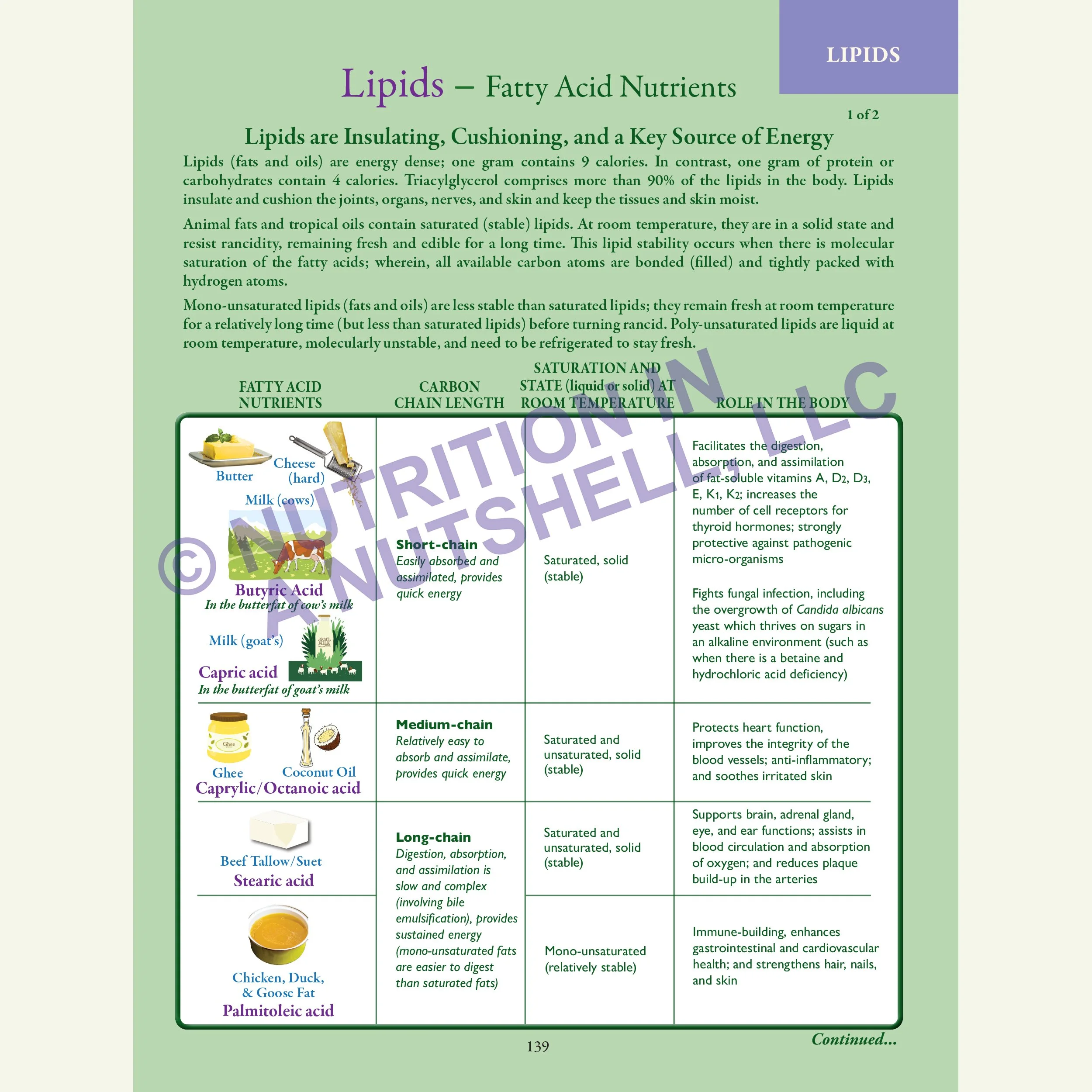 3_Nutrition in a Nutshell_ACROSS_ALL_THE_KINGDOMS_LIPIDS.jpg