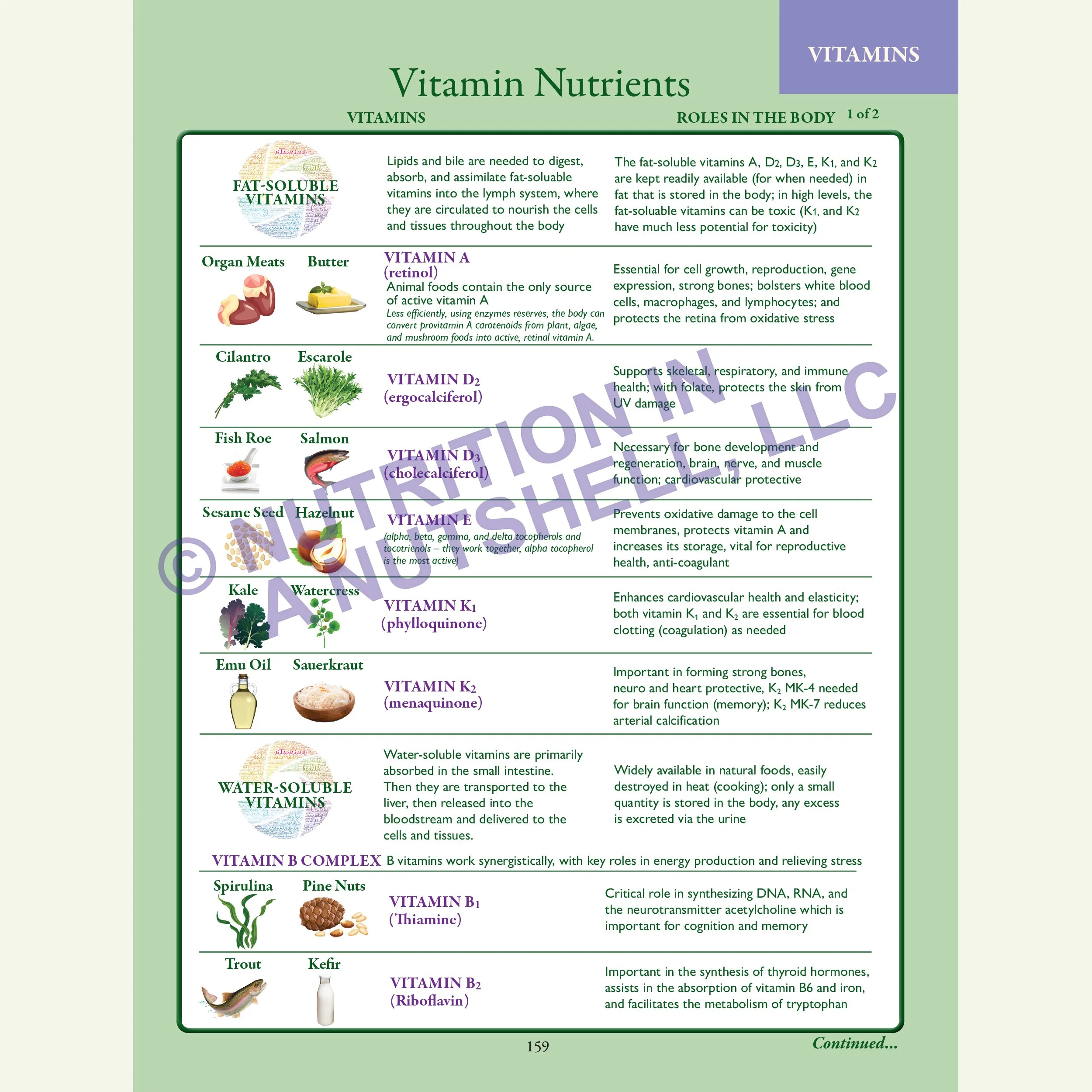 2_MICRO_NUTRIENTS_Natural_Foods_from_the_Tapestry_of_Life_VITAMINS.jpg