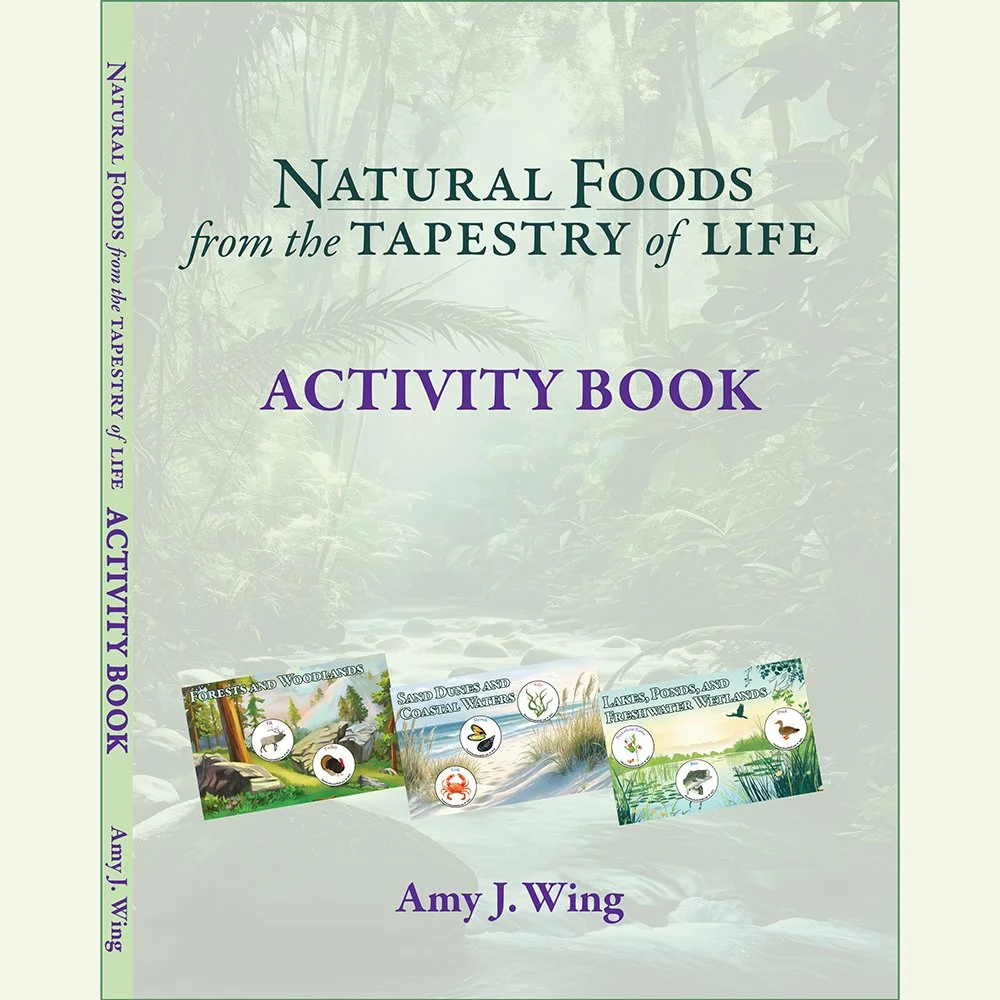 ACTIVITY BOOK COVER NATURAL FOODS FROM THE TAPESTRY OF LIFE.jpg
