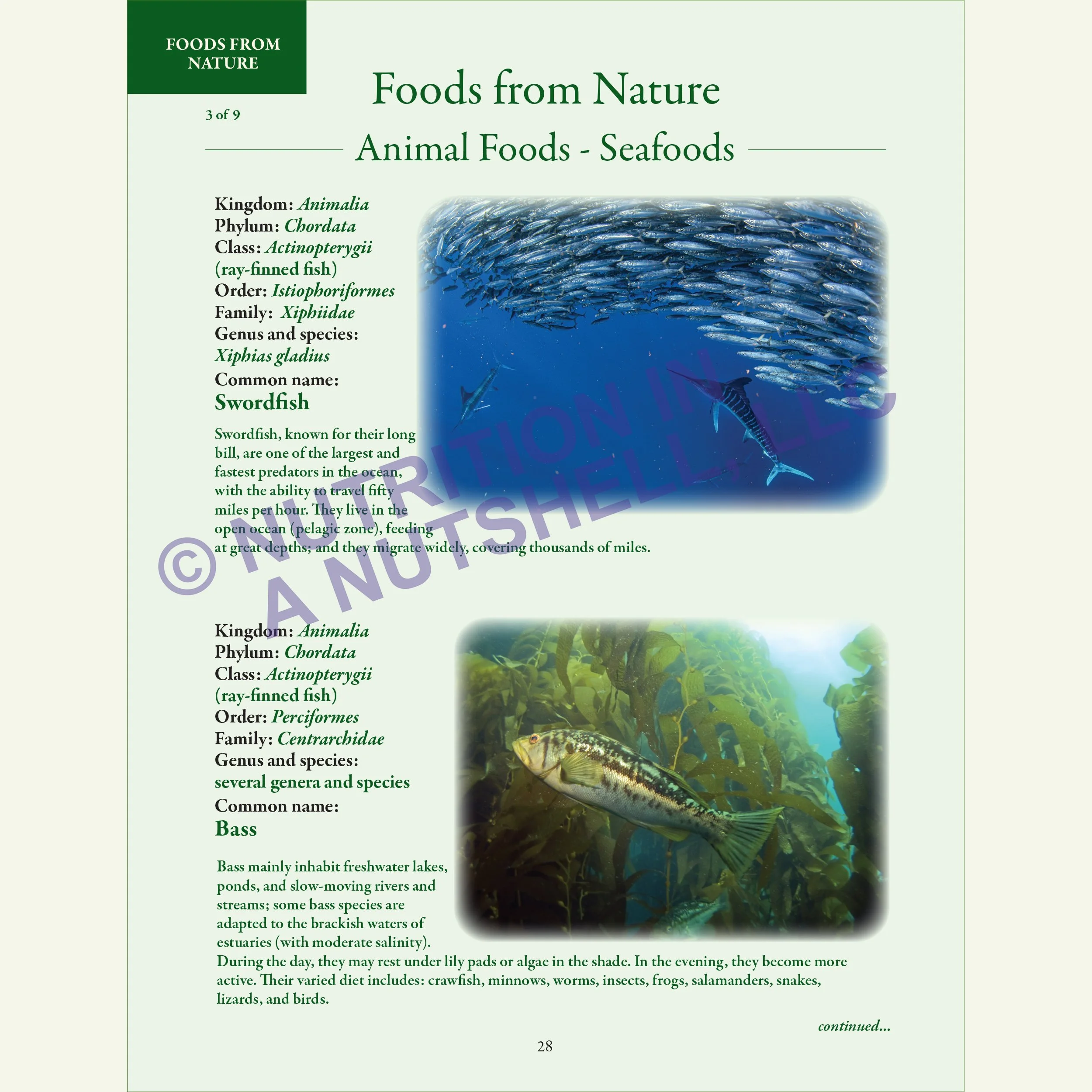 Nutrition in a Nutshell_FOODS_FROM_NATURE4.jpg