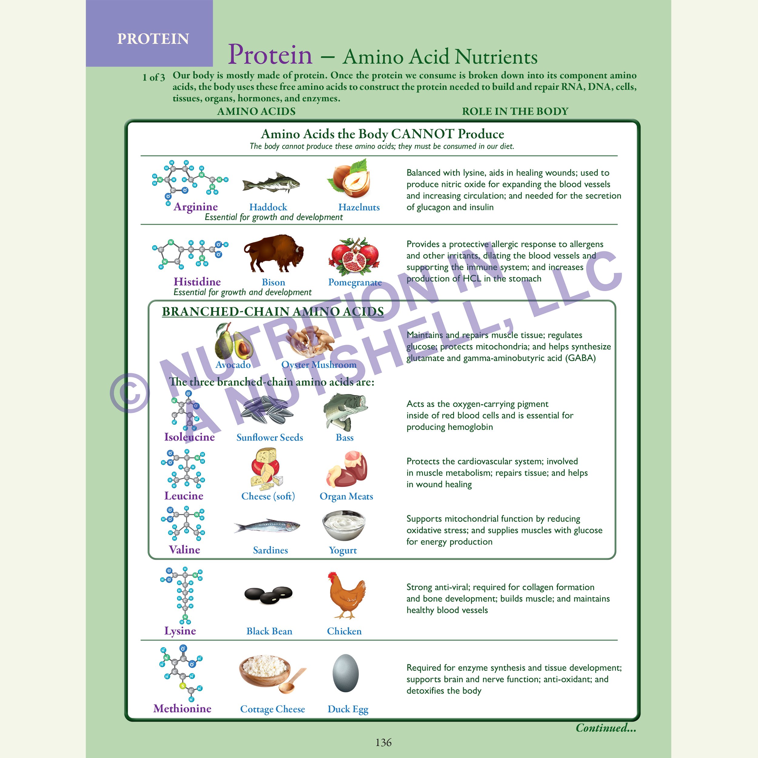 2_Nutrition in a Nutshell_ACROSS_ALL_THE_KINGDOMS_PROTEIN.jpg