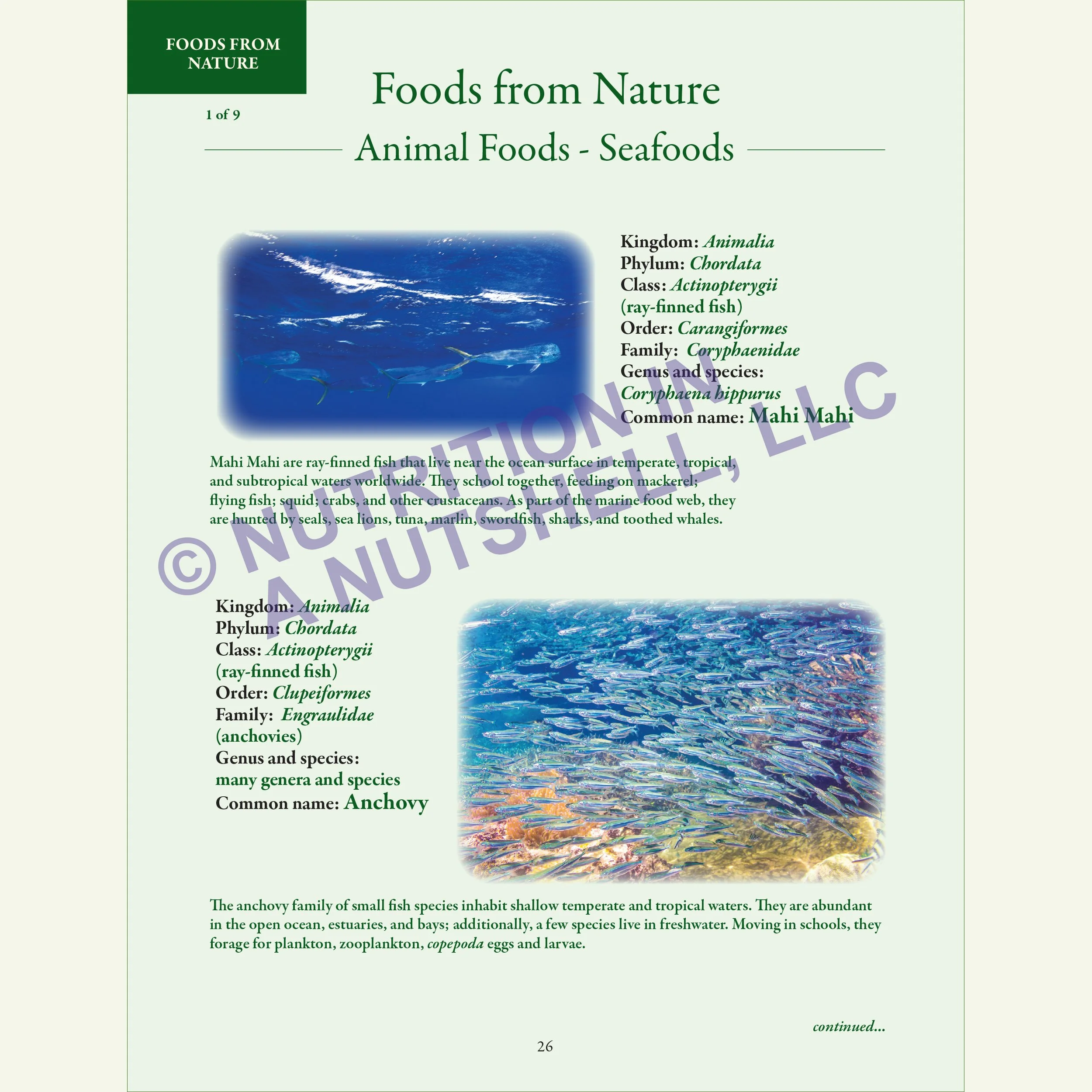Nutrition in a Nutshell_FOODS_FROM_NATURE2.jpg