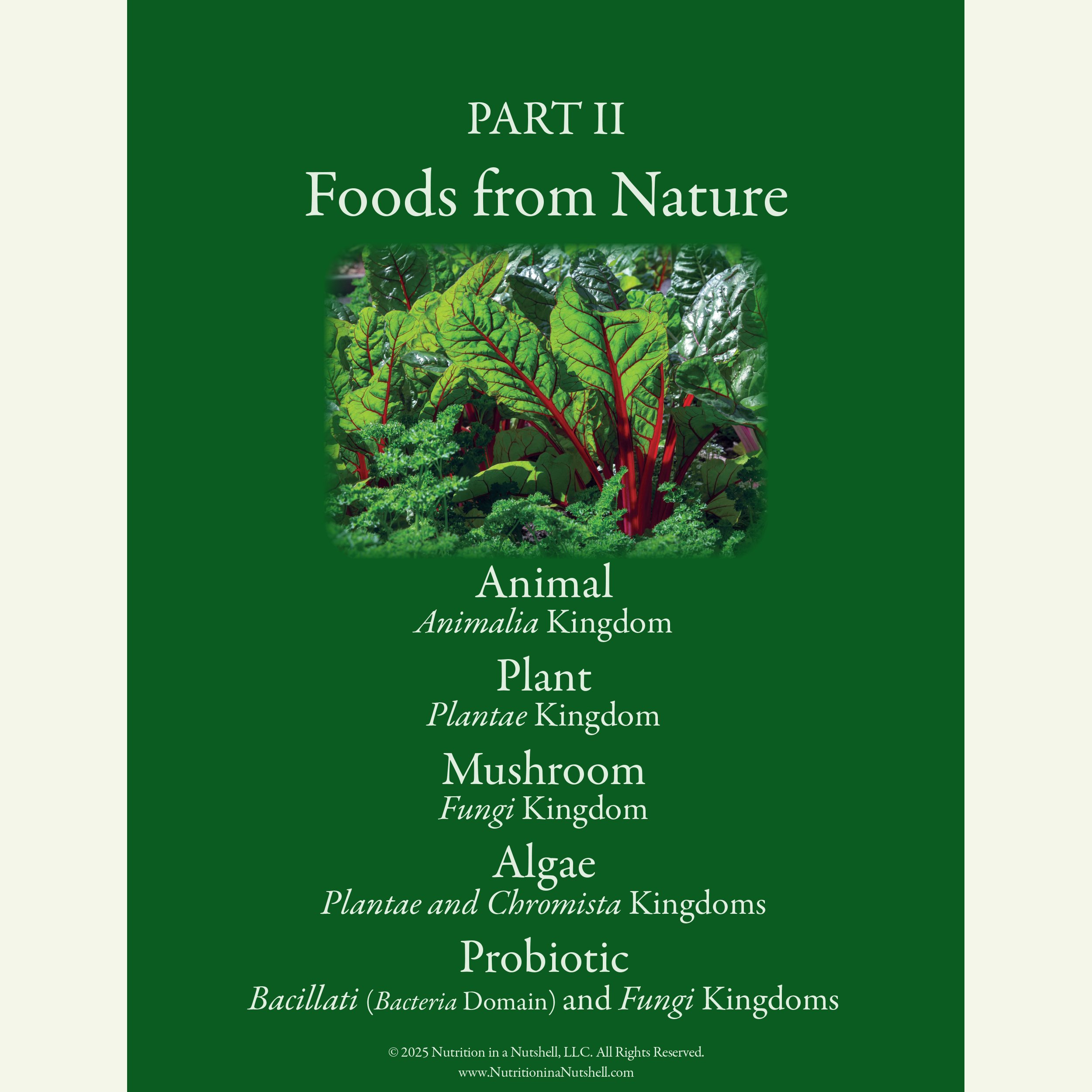 Foods from Nature education charts – excerpts from Natural Foods from the Tapestry of Life. PDF DOWNLOAD