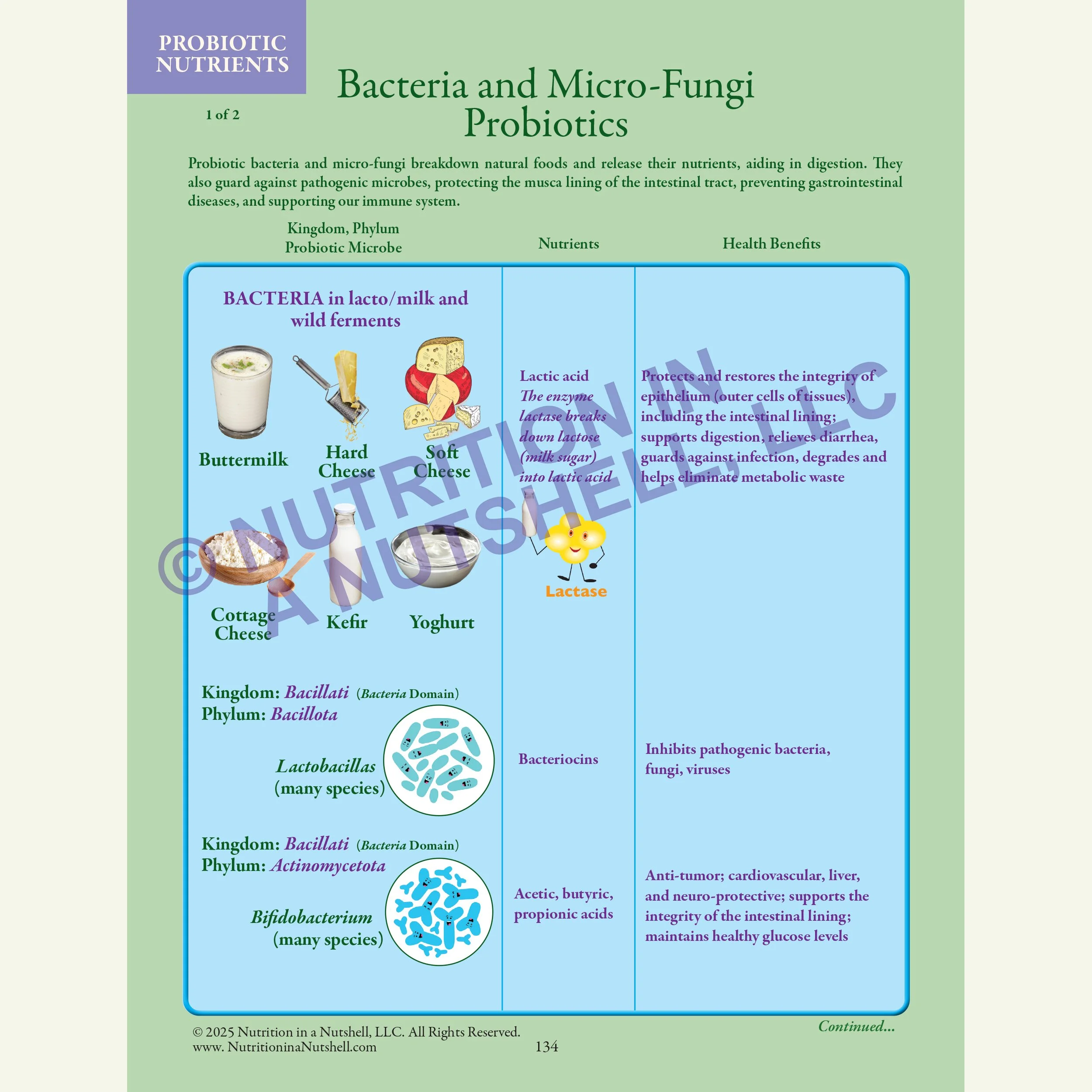 6_Nutrition in a Nutshell_FIVE_KINGDOMS_OF_LIFE_PROBIOTICS.jpg