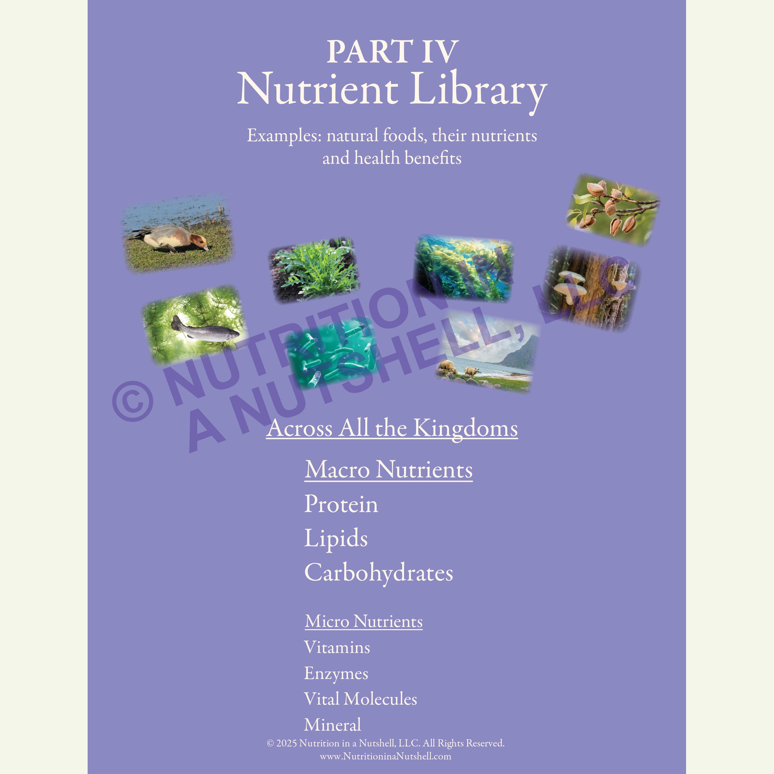 ACROSS_ALL_KINGDOMS_COVER_watermark_Natural_Foods_from_the_Tapestry_of_Life.jpg