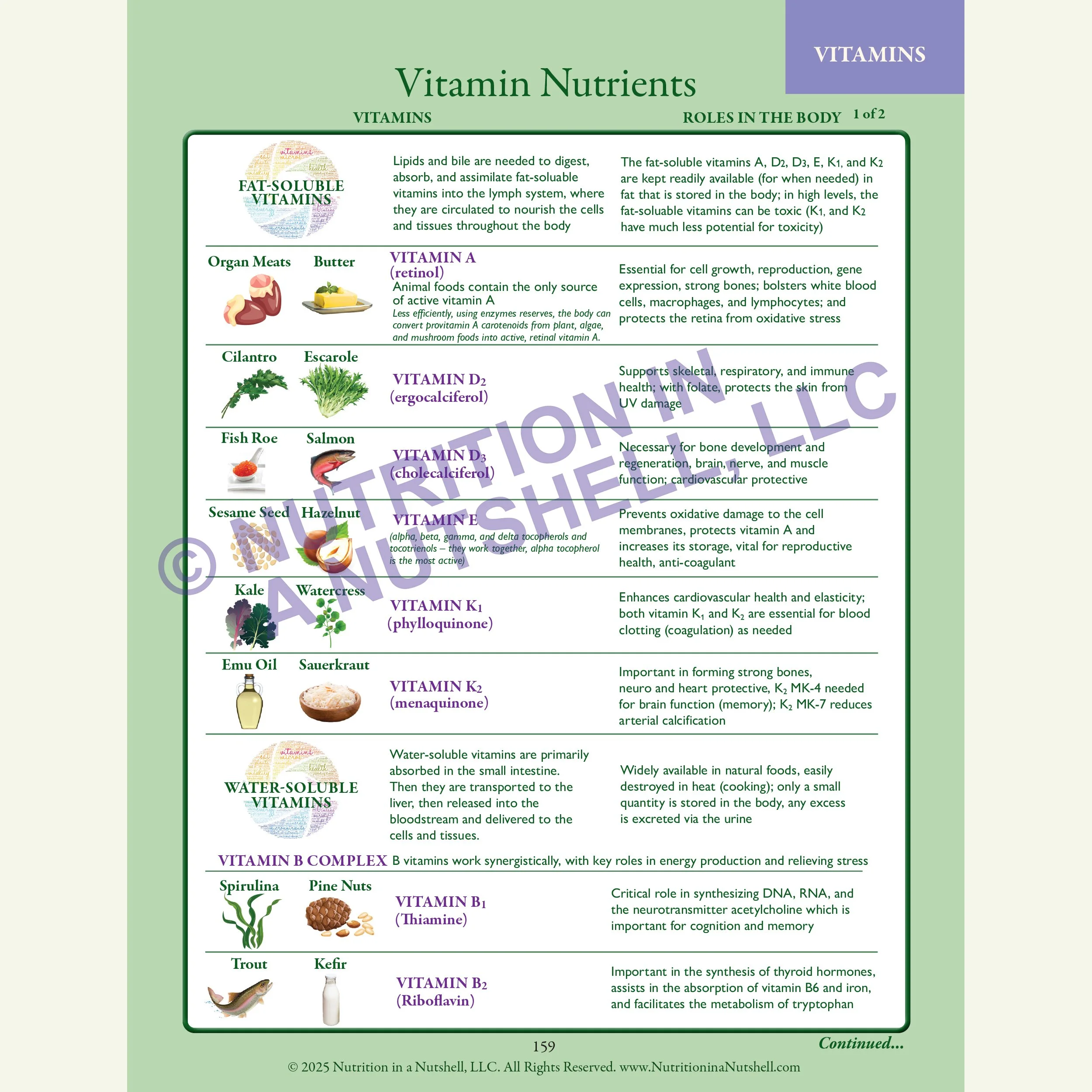 6_Nutrition in a Nutshell_ACROSS_ALL_THE_KINGDOMS_VITAMINS.jpg