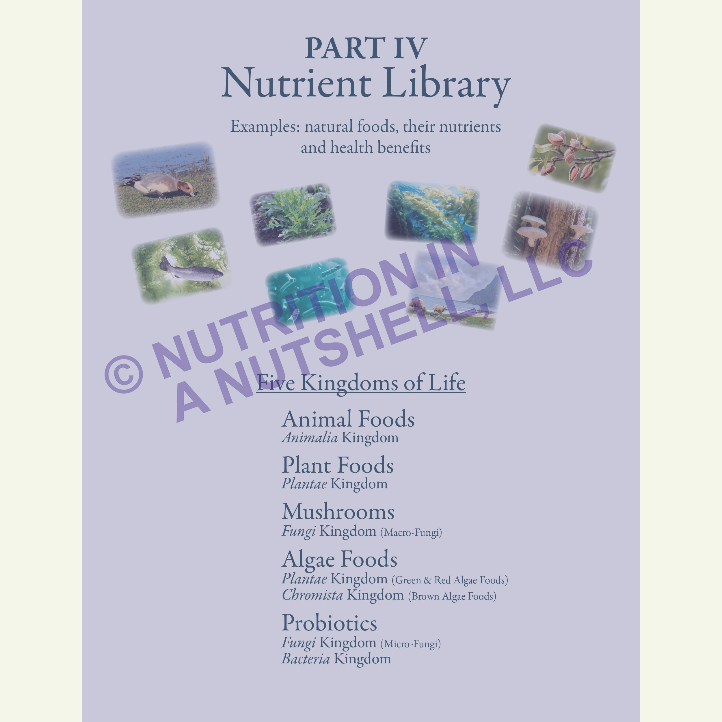 Nutrition in a Nutshell_FIVE_KINGDOMS_OF_LIFE1.jpg