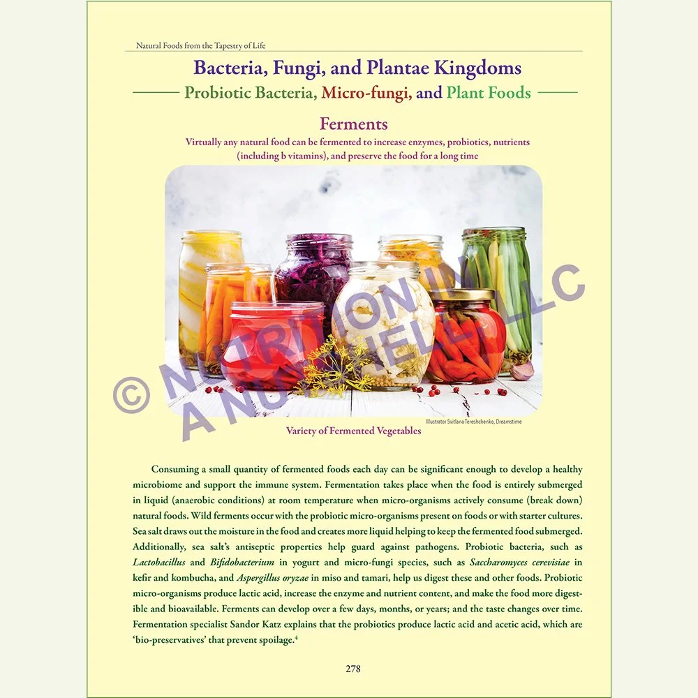 Natural_Foods_from_the_Tapestry_of_Life_Book_FERMENTS.jpg