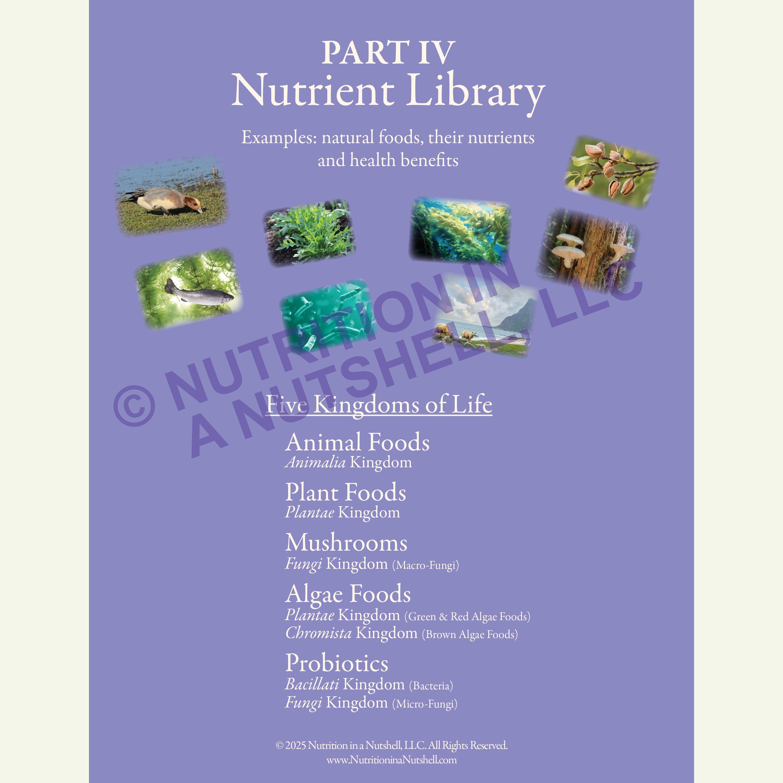 9_Nutrition in a Nutshell_FIVE_KINGDOMS_OF_LIFE_COVER.jpg