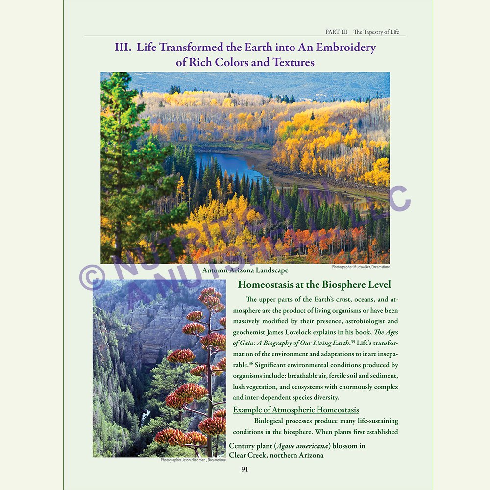 Natural_Foods_from_the_Tapestry_of_Life_Book_PAGE 91.jpg