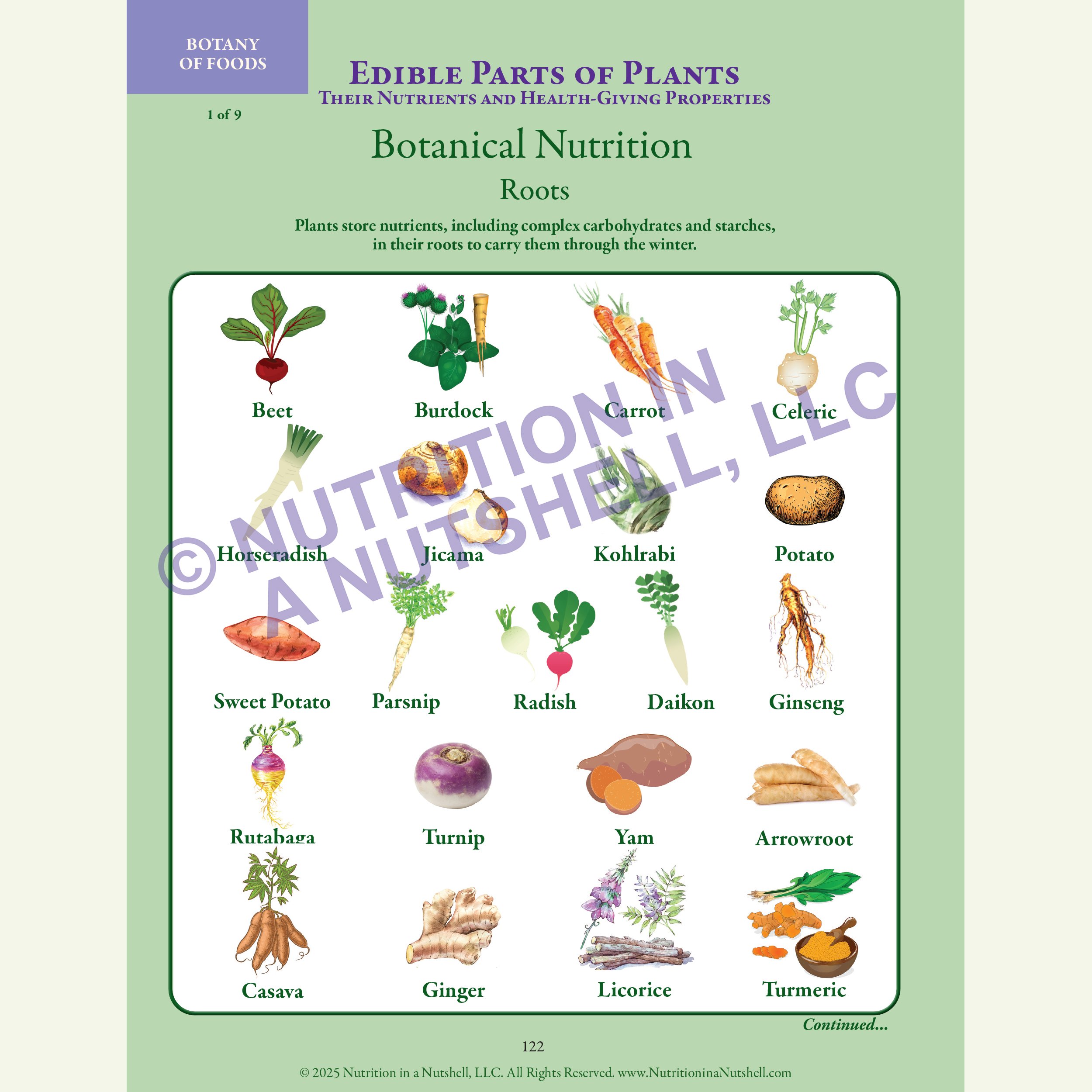 5_Nutrition in a Nutshell_FIVE_KINGDOMS_OF_LIFE_BOTANICAL.jpg