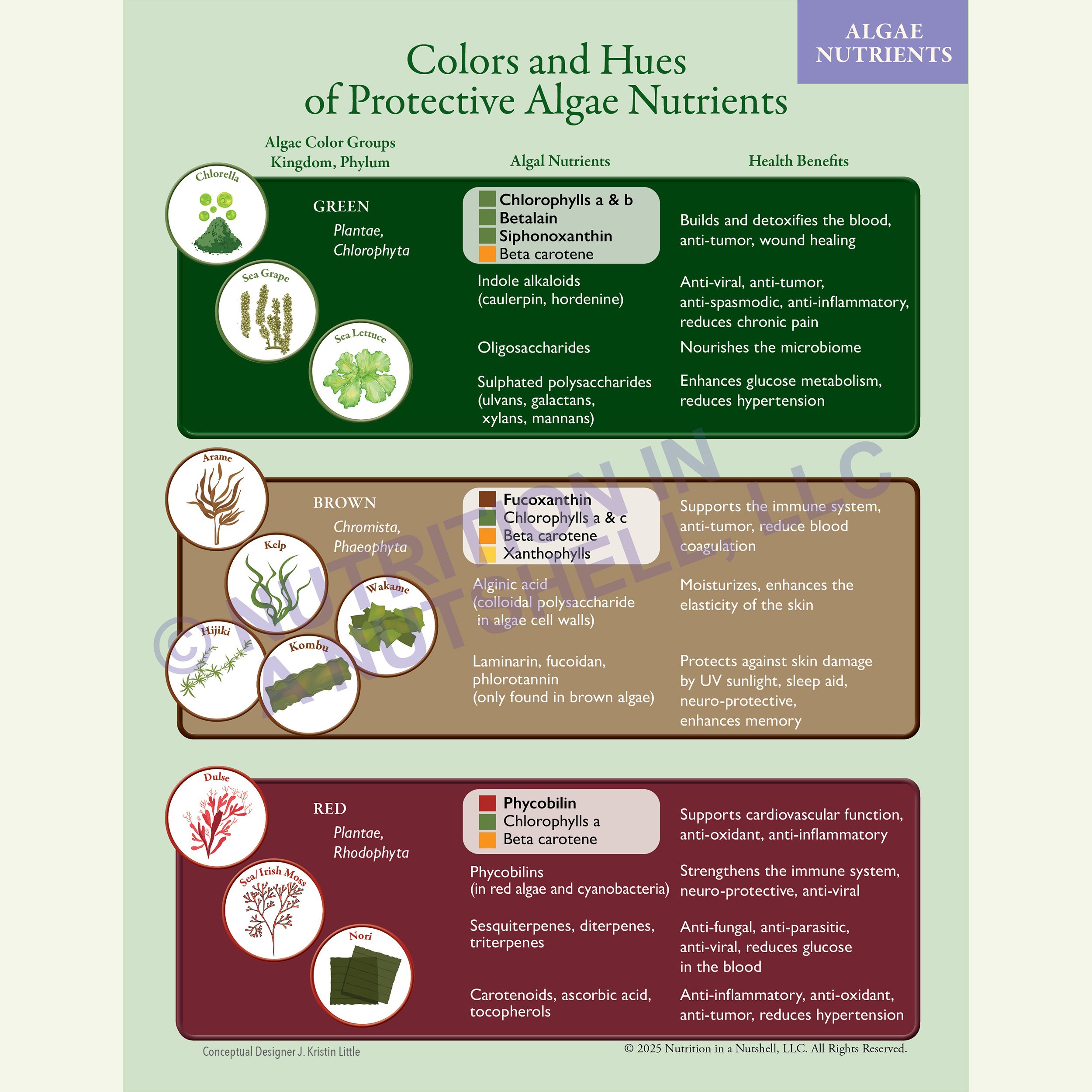 Nutrition in a Nutshell_Algae Nutrients CHART.jpg
