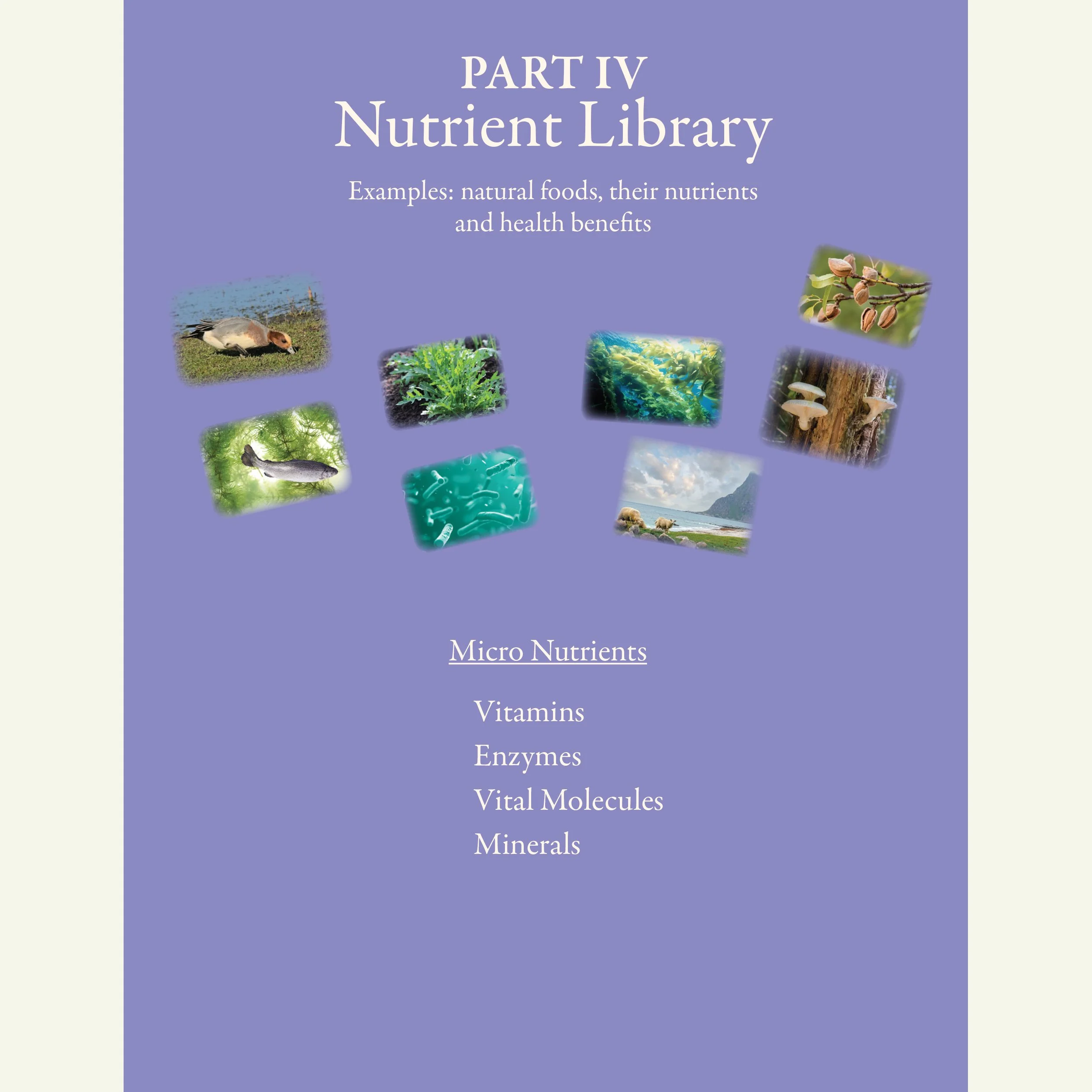 1_MICRO_NUTRIENTS_Natural_Foods_from_the_Tapestry_of_Life_COVER.jpg