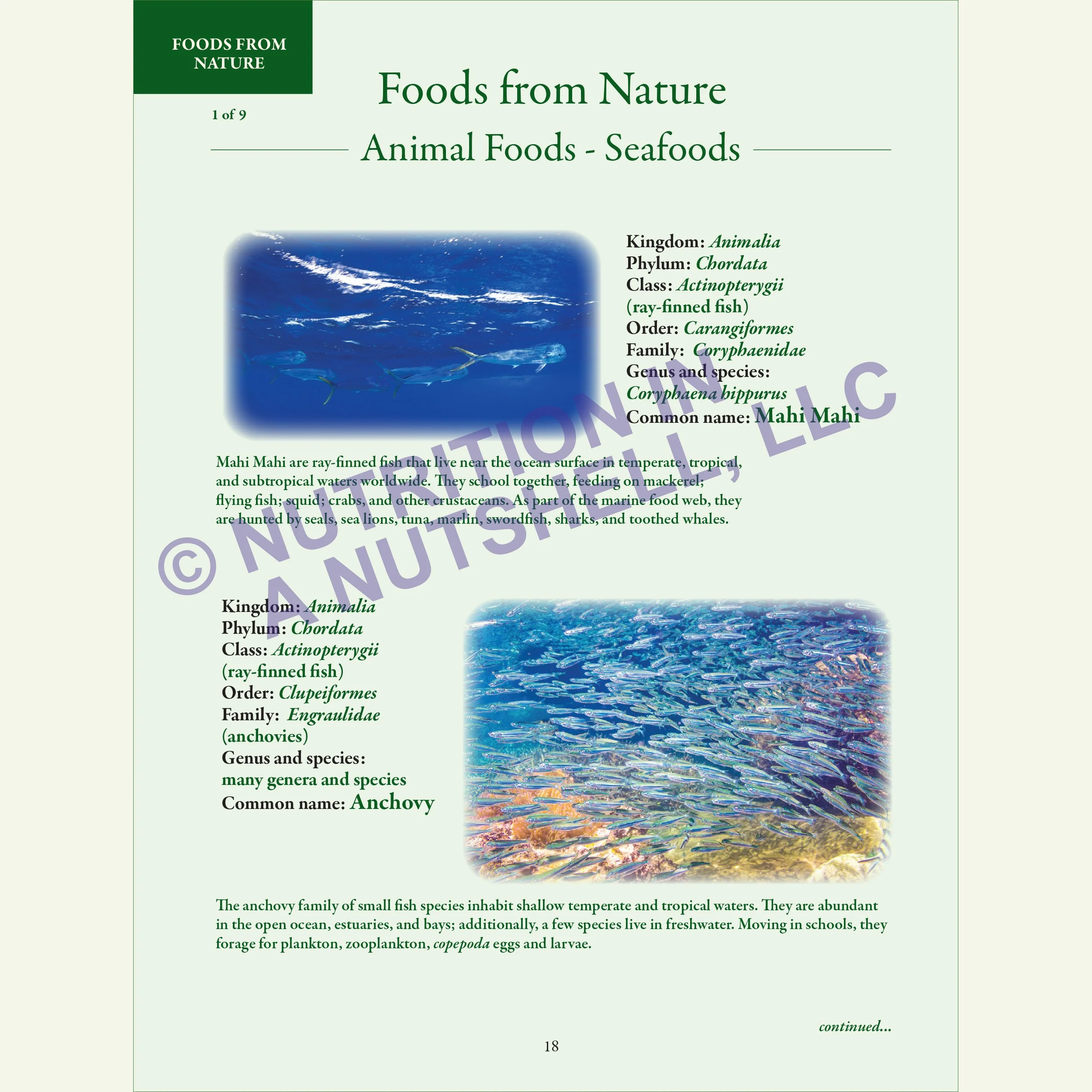 2_Foods_from_Nature_Natural_Foods_from_the_Tapestry_of_Life_ANIMAL.jpg