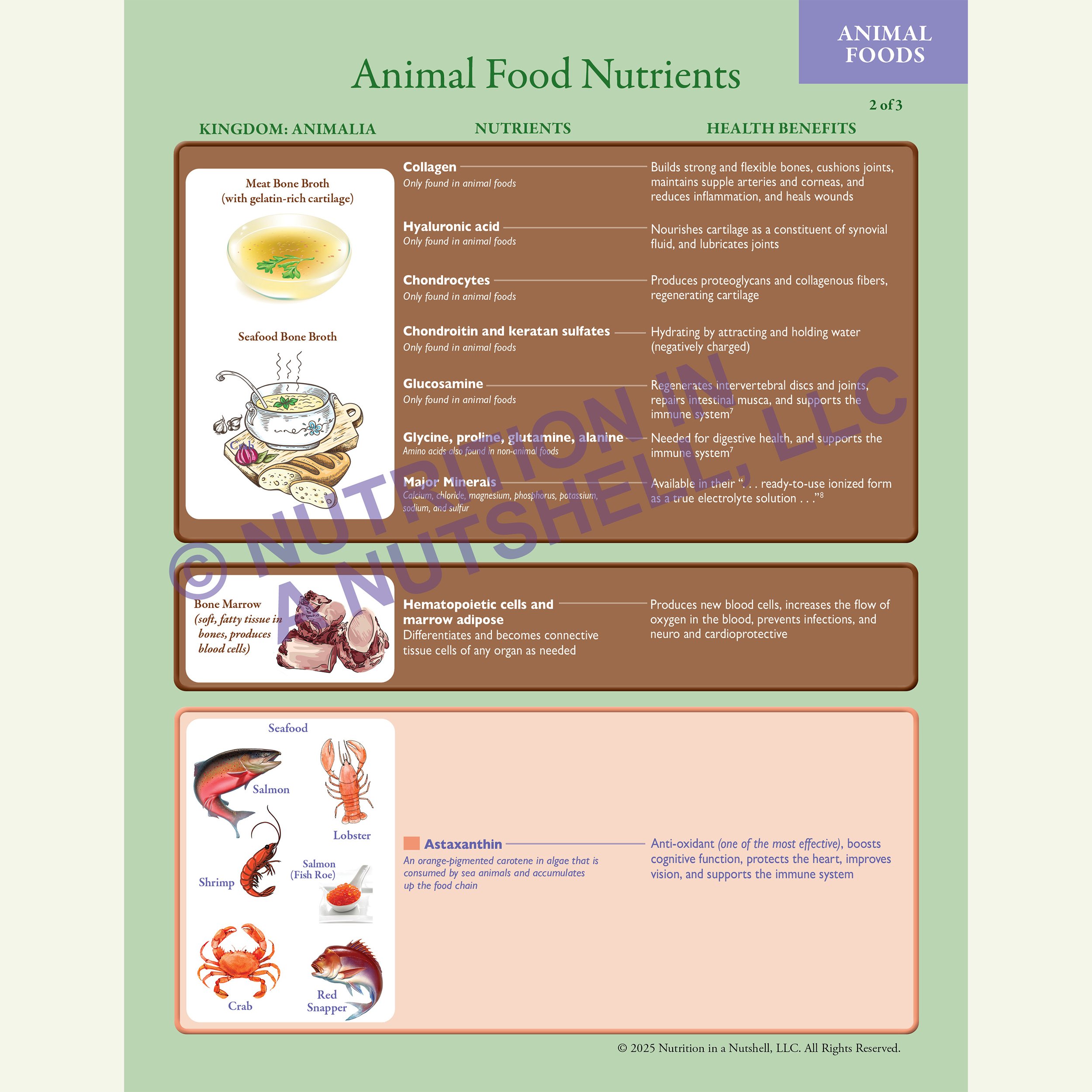 Nutrition in a Nutshell_Animal_Foods_CHART_page_2.jpg