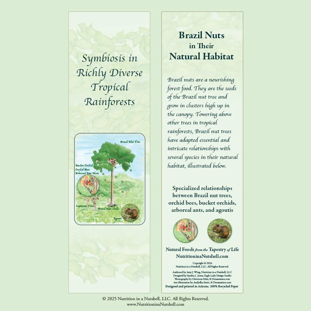 8_Bookmarks_NATURAL_FOODS_FROM_THE_TAPESTRY_OF_LIFE.jpg (Copy)