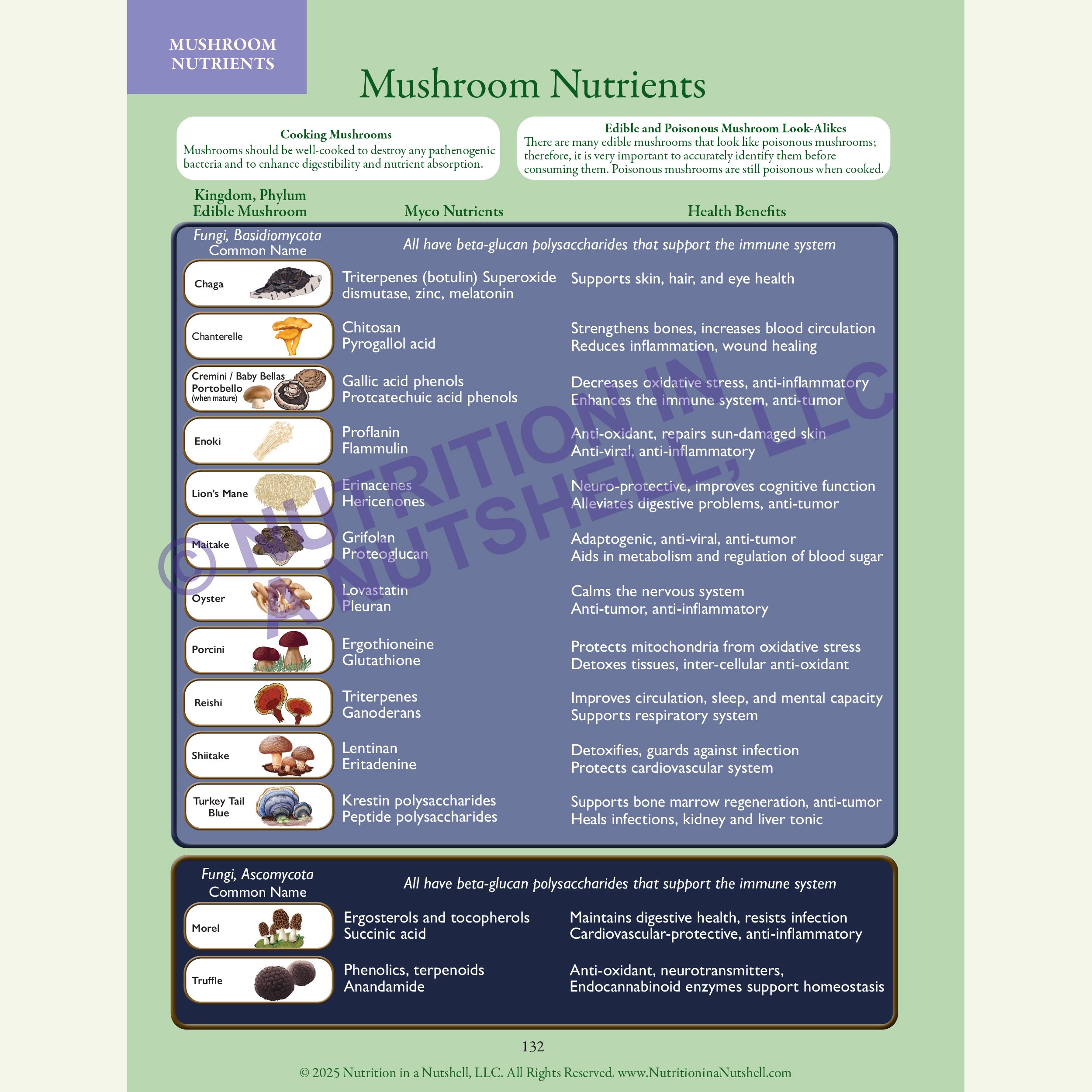6_Nutrition in a Nutshell_FIVE_KINGDOMS_OF_LIFE_MUSHROOMS.jpg