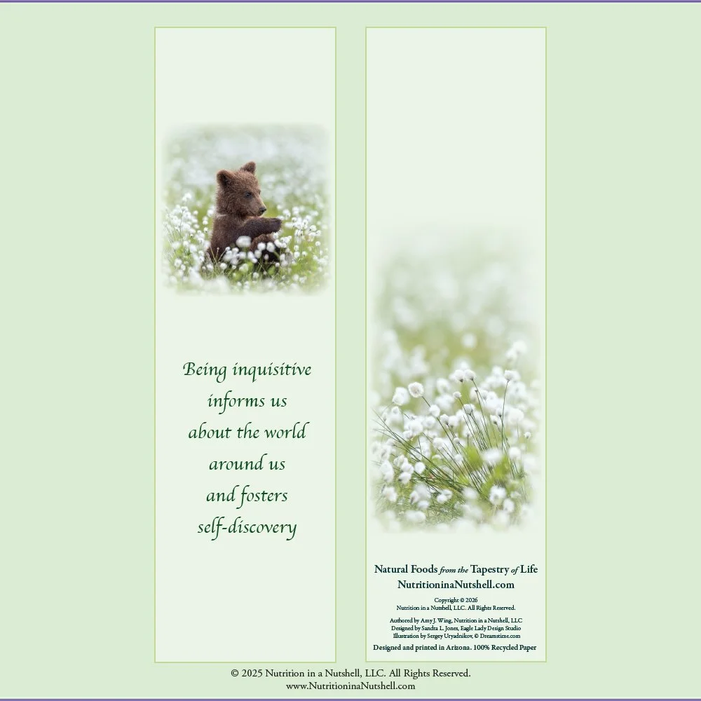 3_Bookmarks_NATURAL_FOODS_FROM_THE_TAPESTRY_OF_LIFE.jpg (Copy)