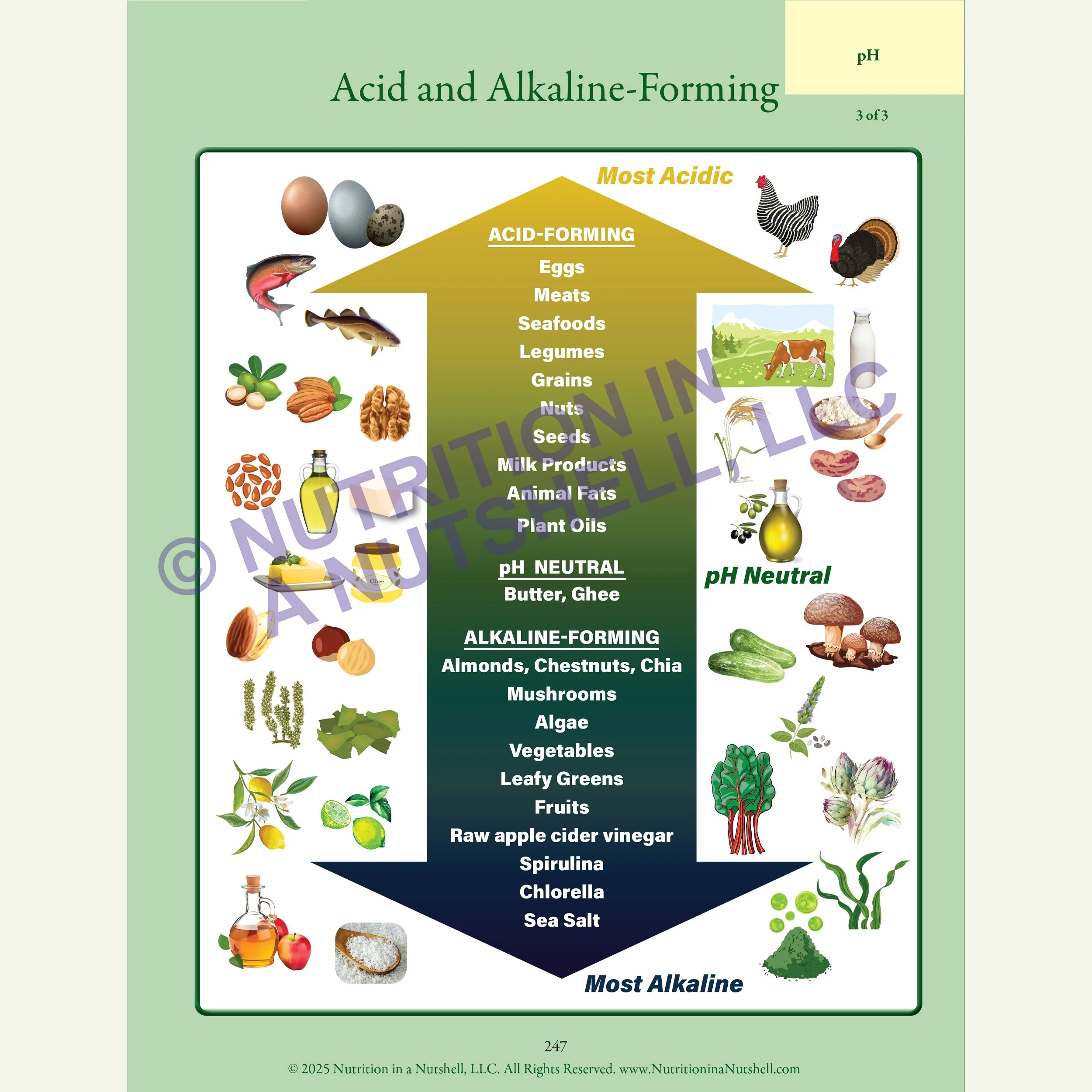 Nutrition in a Nutshell MEAL_PLANNING5.jpg
