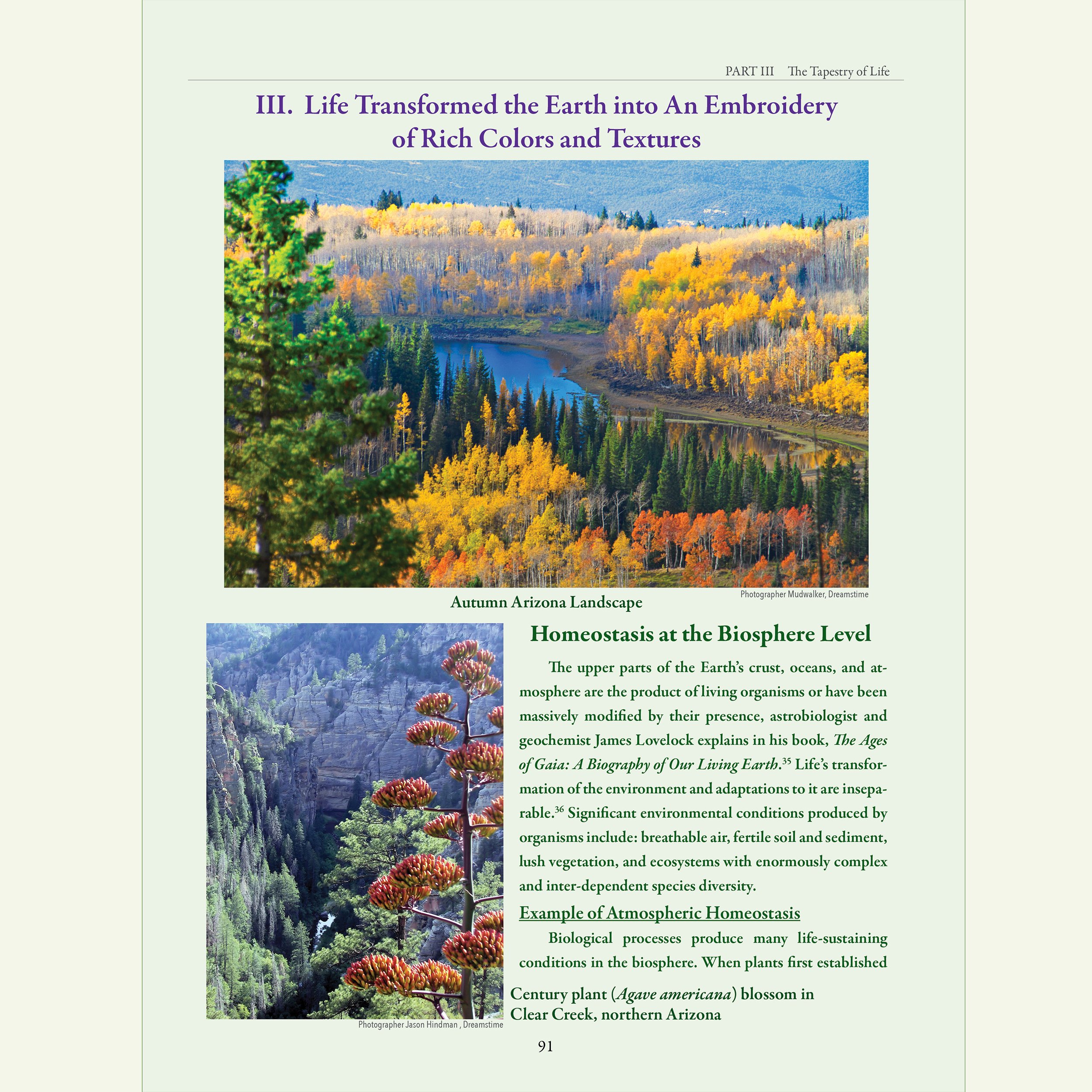 Natural_Foods_from_the_Tapestry_of_Life_Book_TAPESTRY_III.jpg