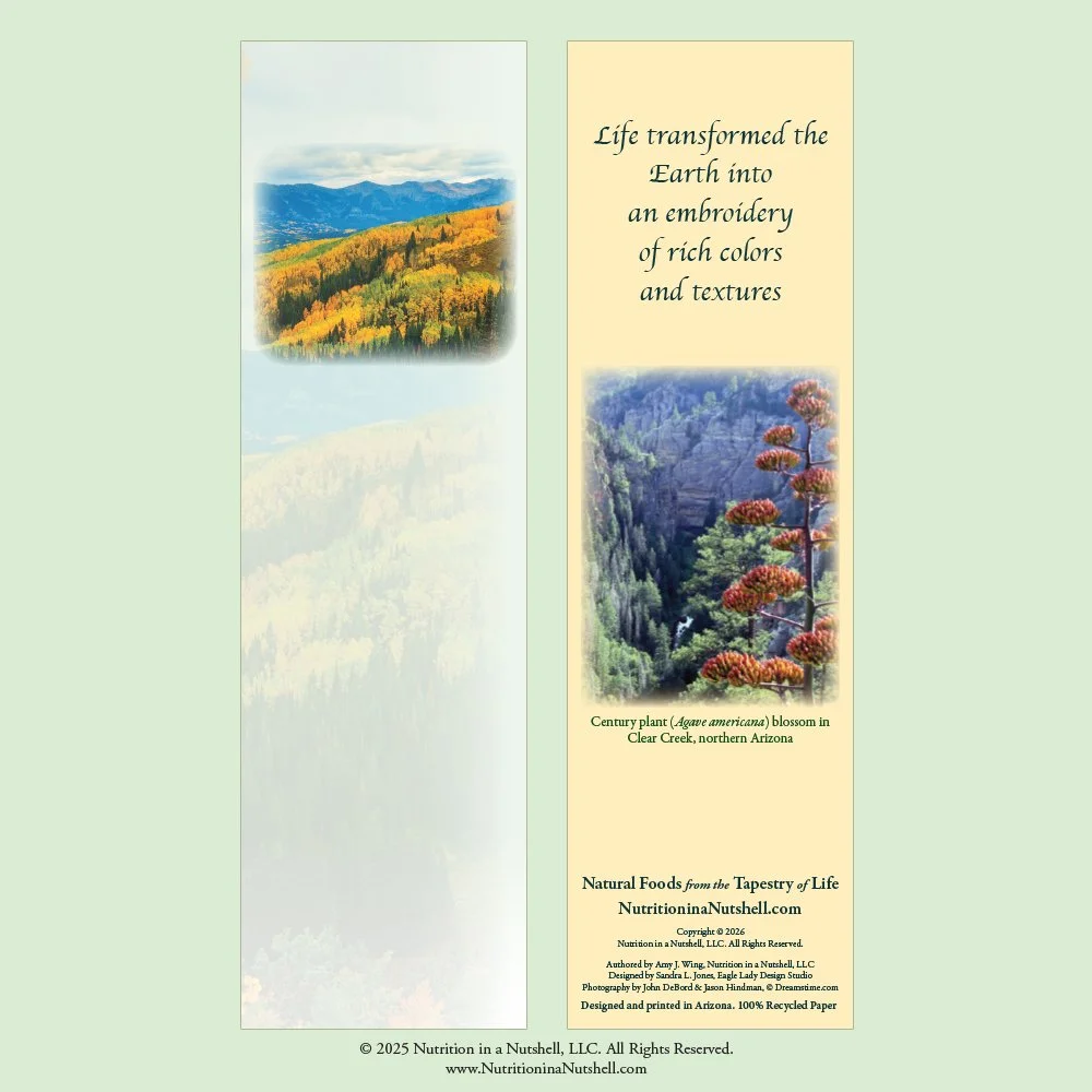 9_Bookmarks_NATURAL_FOODS_FROM_THE_TAPESTRY_OF_LIFE.jpg (Copy)