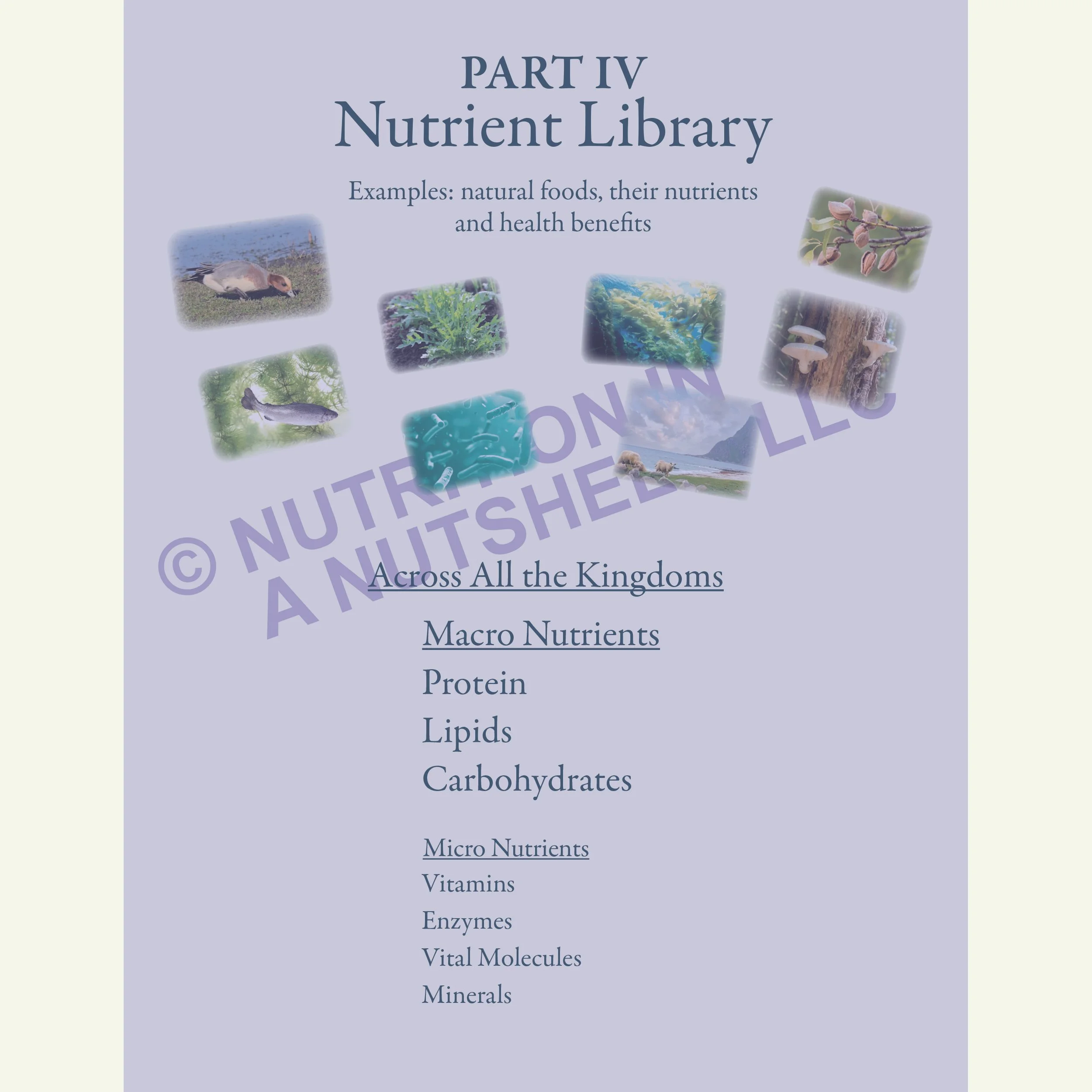 Nutrition in a Nutshell_ACROSS_ALL_THE_KINGDOMS1.jpg