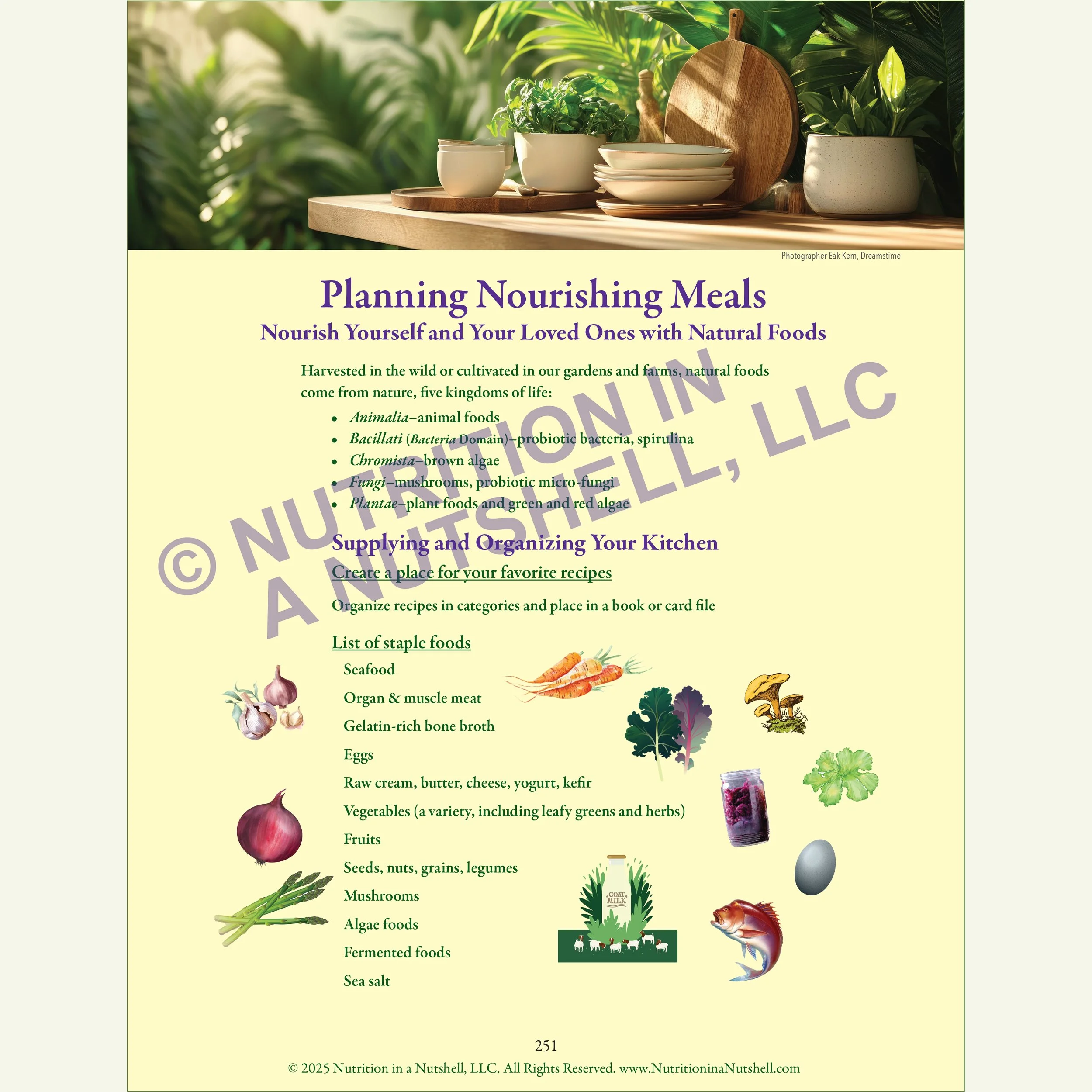 Nutrition in a Nutshell MEAL_PLANNING3.jpg