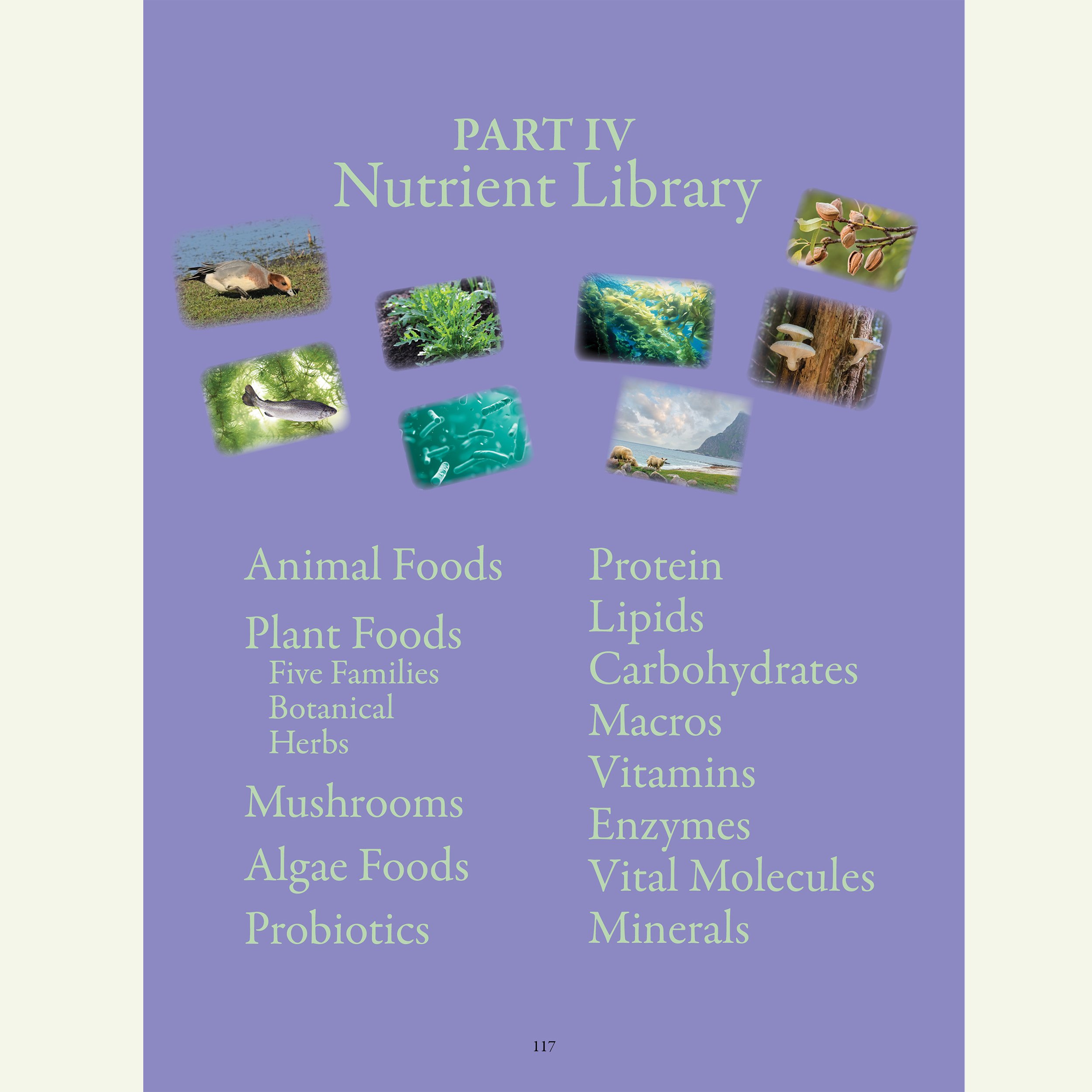 Natural_Foods_from_the_Tapestry_of_Life_Book_NUTRIENT_LIBRARY.jpg