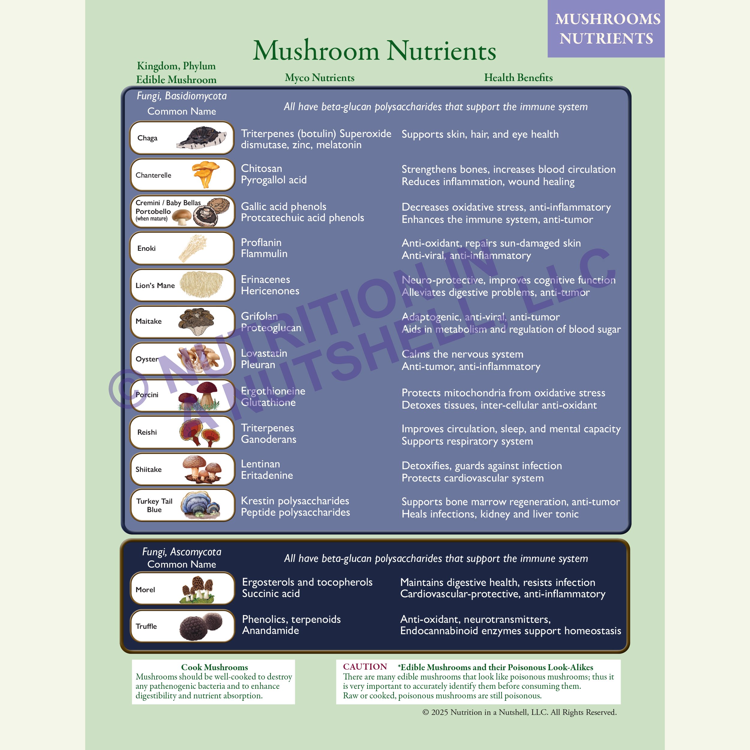 Mushroom Nutrients CHART, excerpt from Natural Foods from the Tapestry of Life book