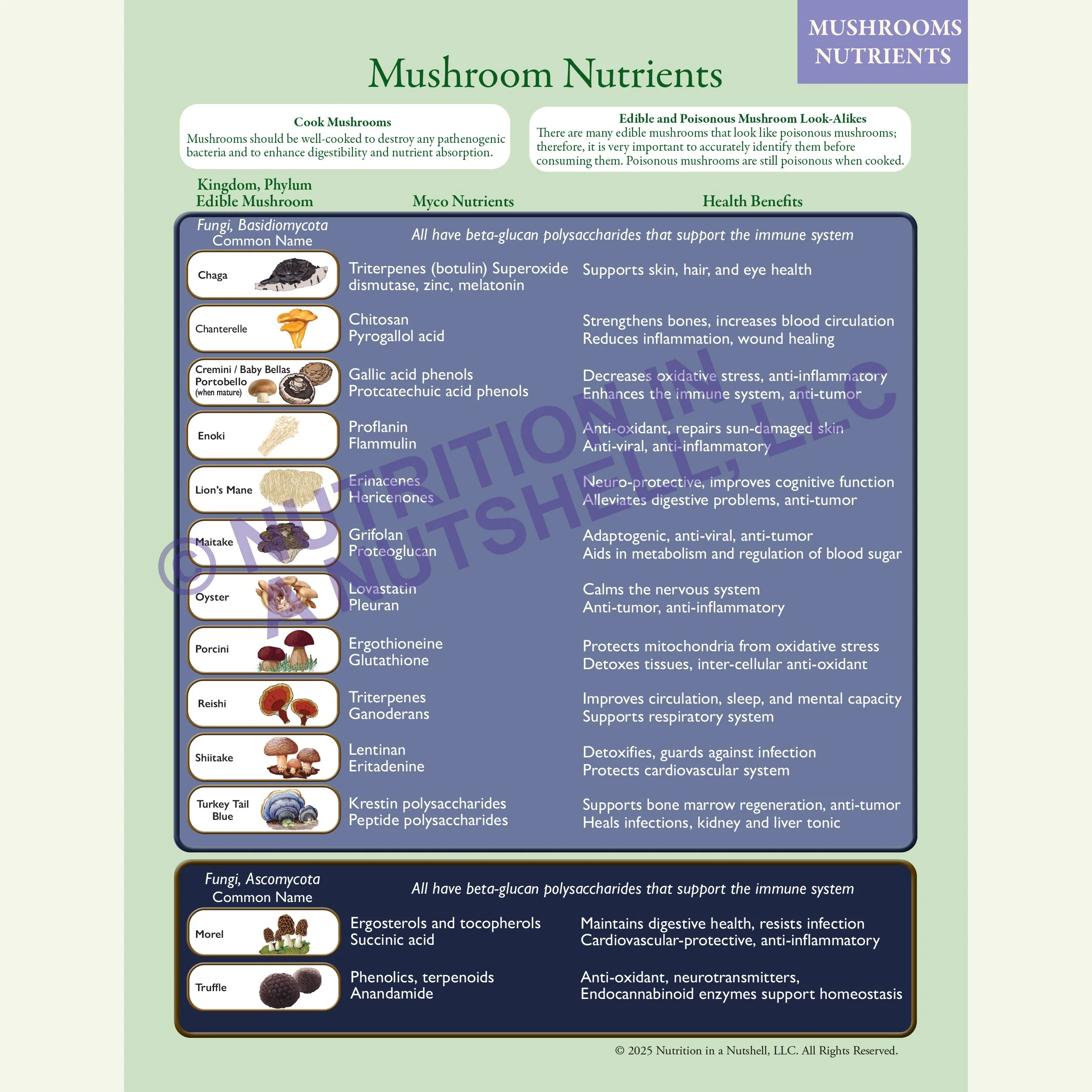 Mushroom Nutrients CHART, excerpt from Natural Foods from the Tapestry of Life book