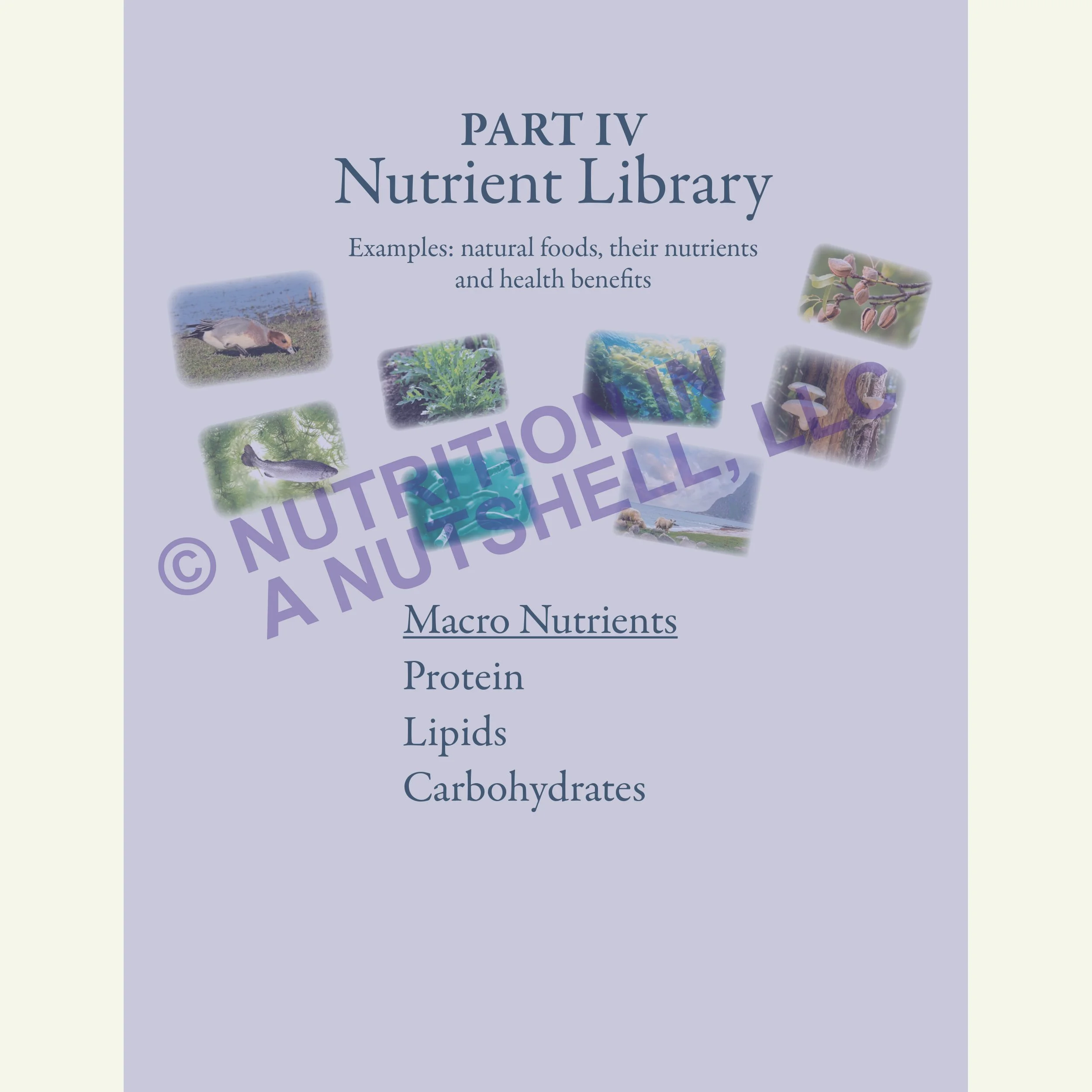 Nutrition in a Nutshell_MACRO_NUTRIENTS1.jpg