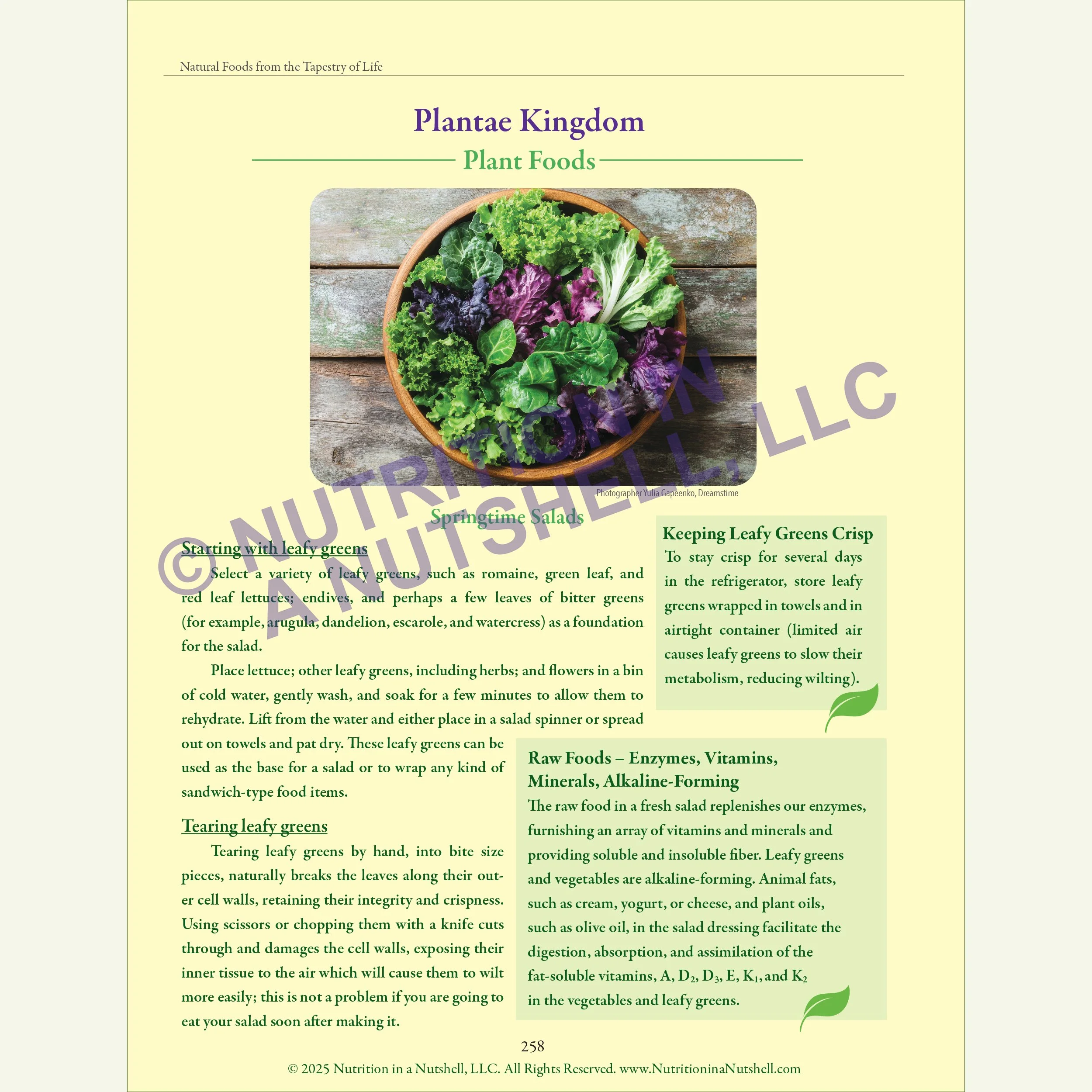 Nutrition in a Nutshell MEAL_PLANNING4.jpg