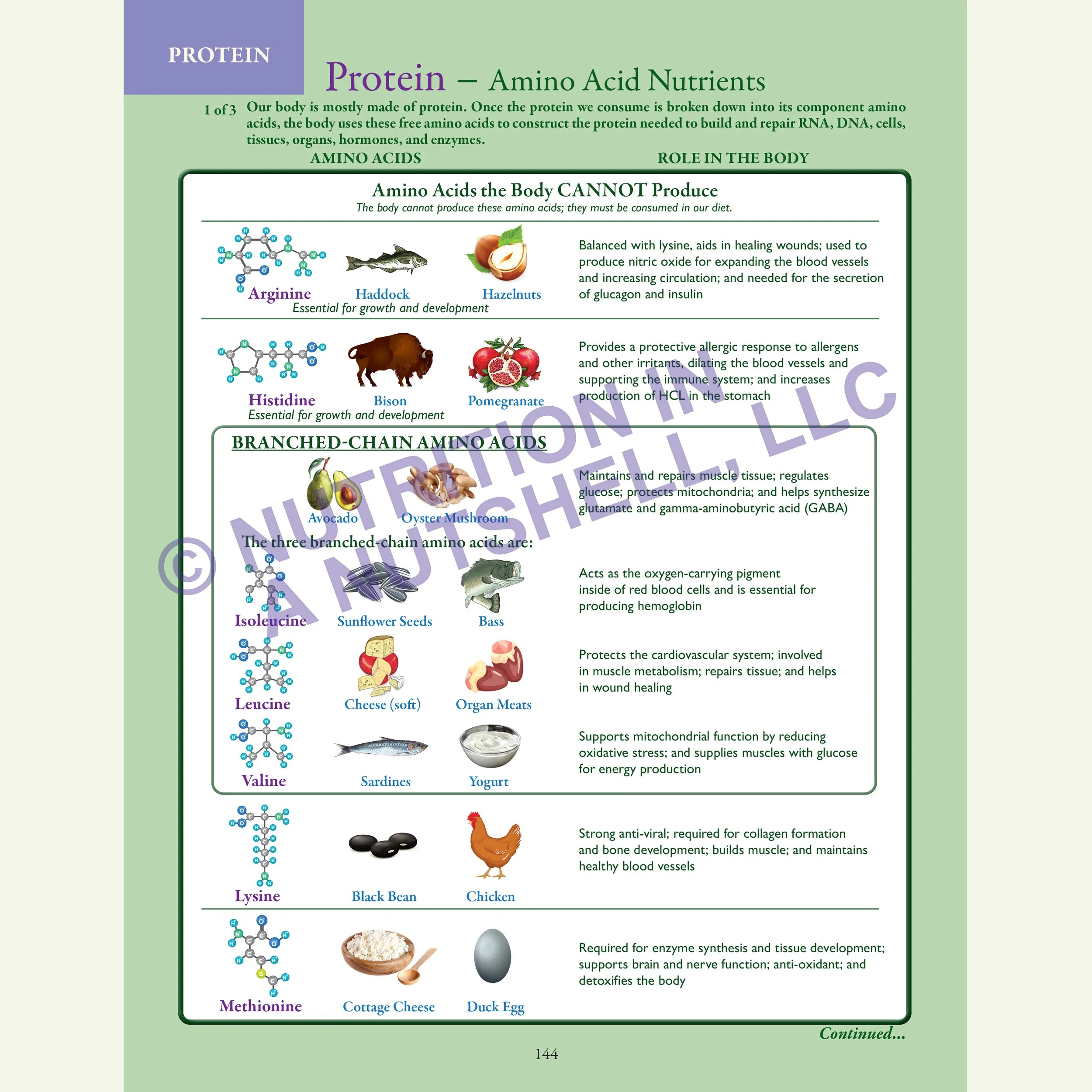Nutrition in a Nutshell_ACROSS_ALL_THE_KINGDOMS2.jpg