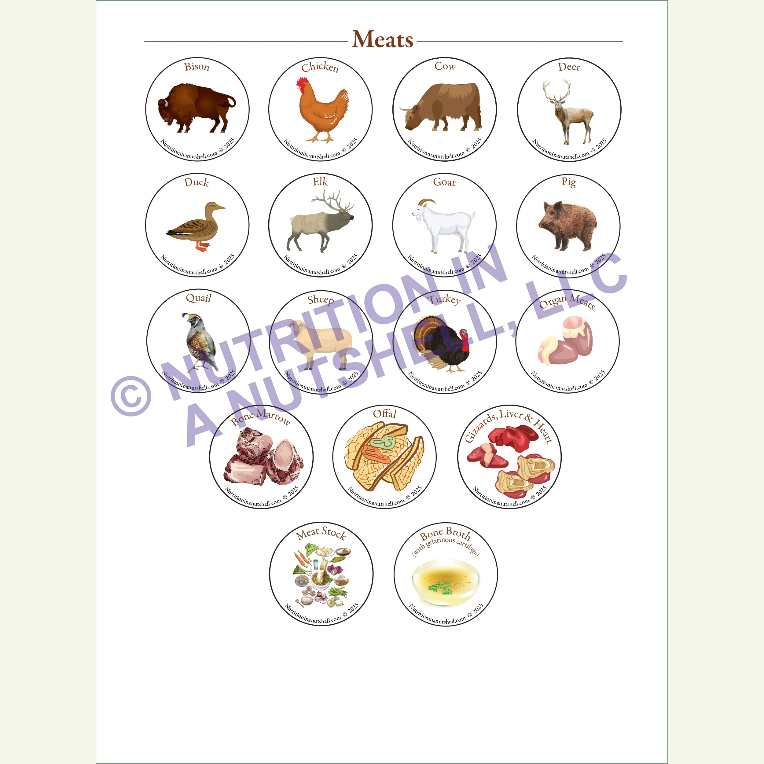 Nutrition in a Nutshell Sticker Pkg Meats.jpg