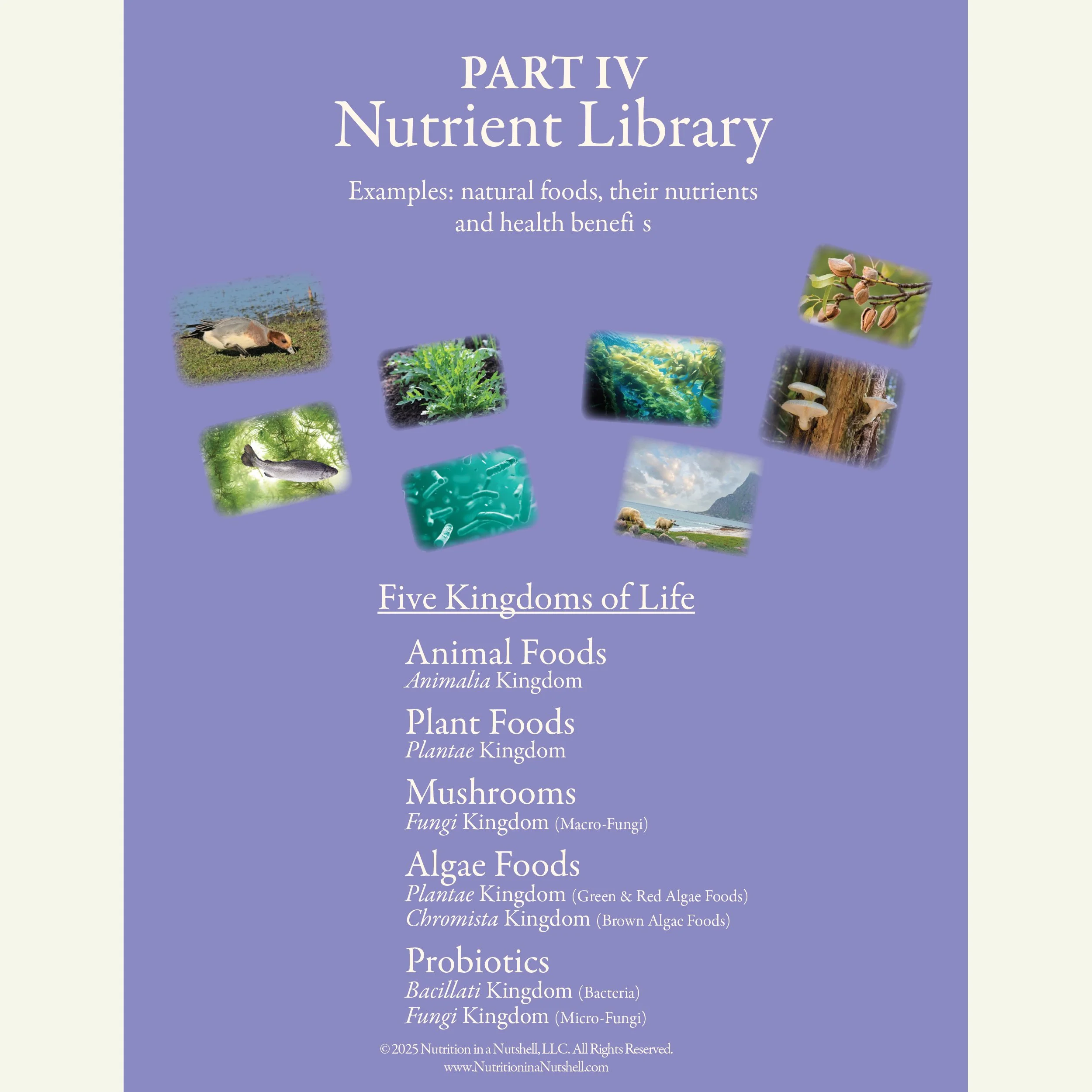 Five Kingdoms of Life education charts – excerpts from Natural Foods from the Tapestry of Life. PDF DOWNLOAD