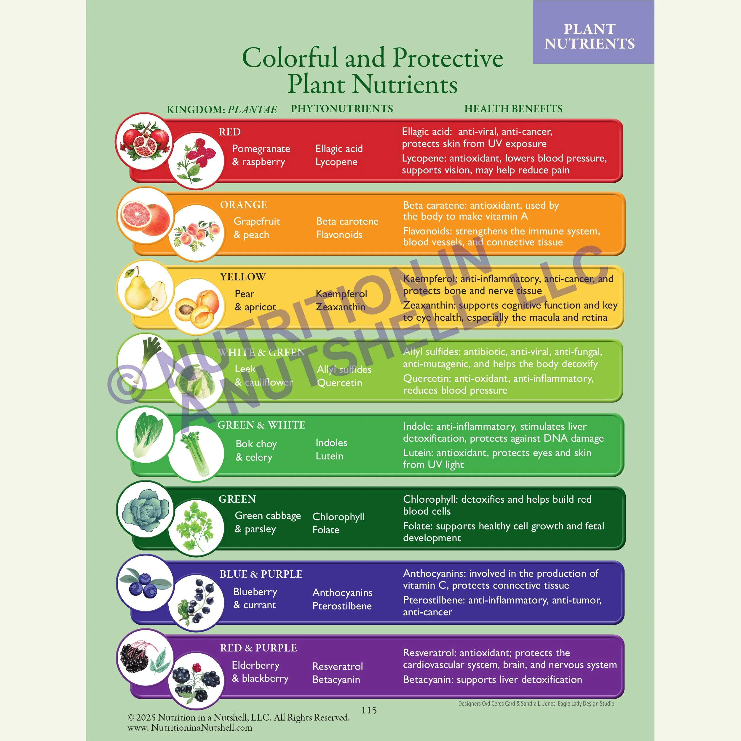3_Nutrition in a Nutshell_FIVE_KINGDOMS_OF_LIFE_PLANT.jpg