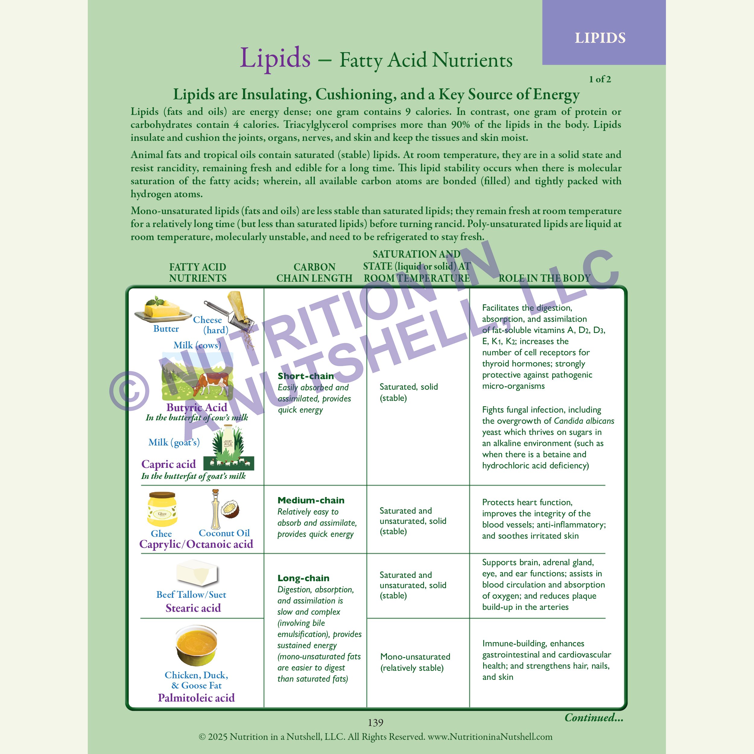 3_Nutrition in a Nutshell_ACROSS_ALL_THE_KINGDOMS_LIPIDS.jpg