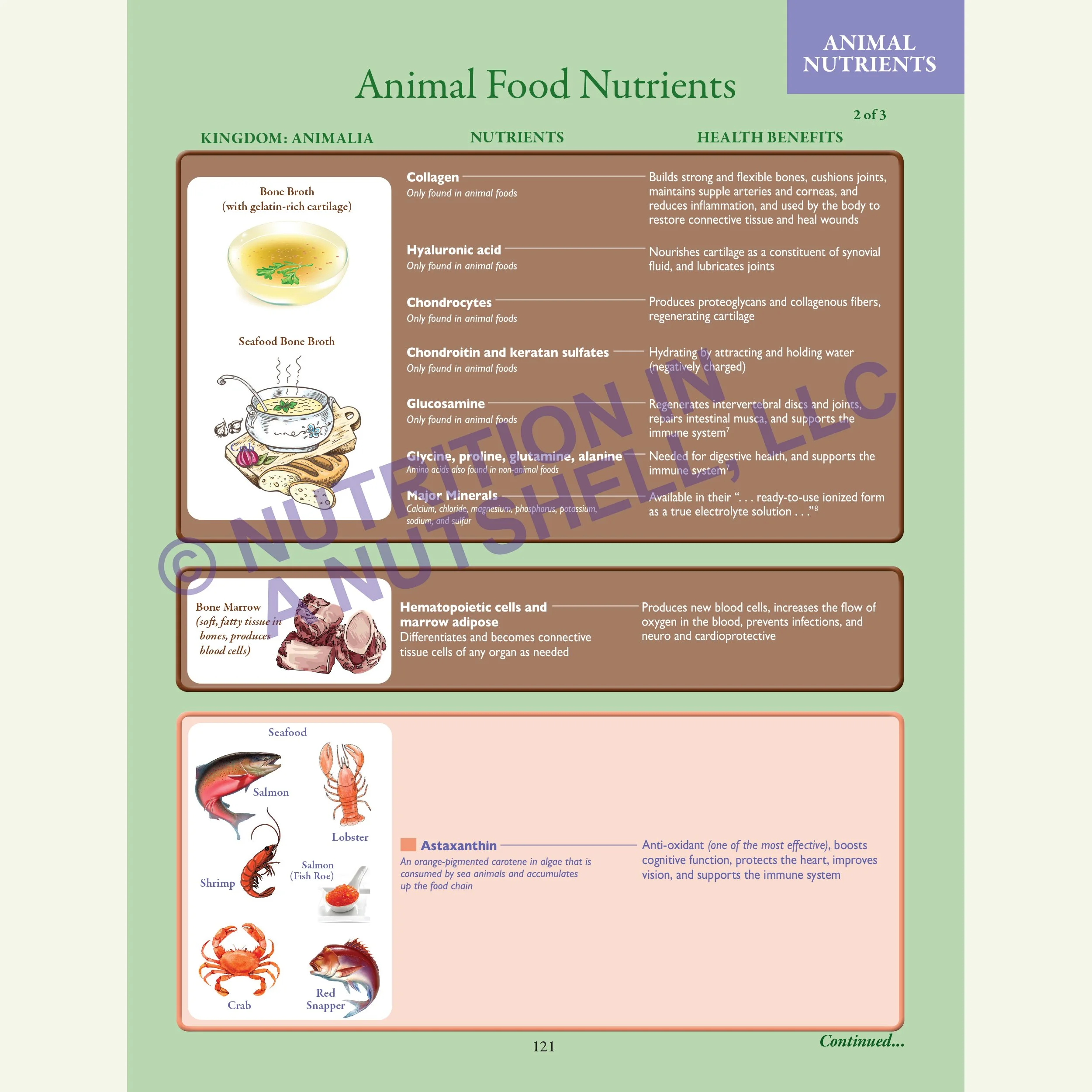 Nutrition in a Nutshell_FIVE_KINGDOMS_OF_LIFE3.jpg