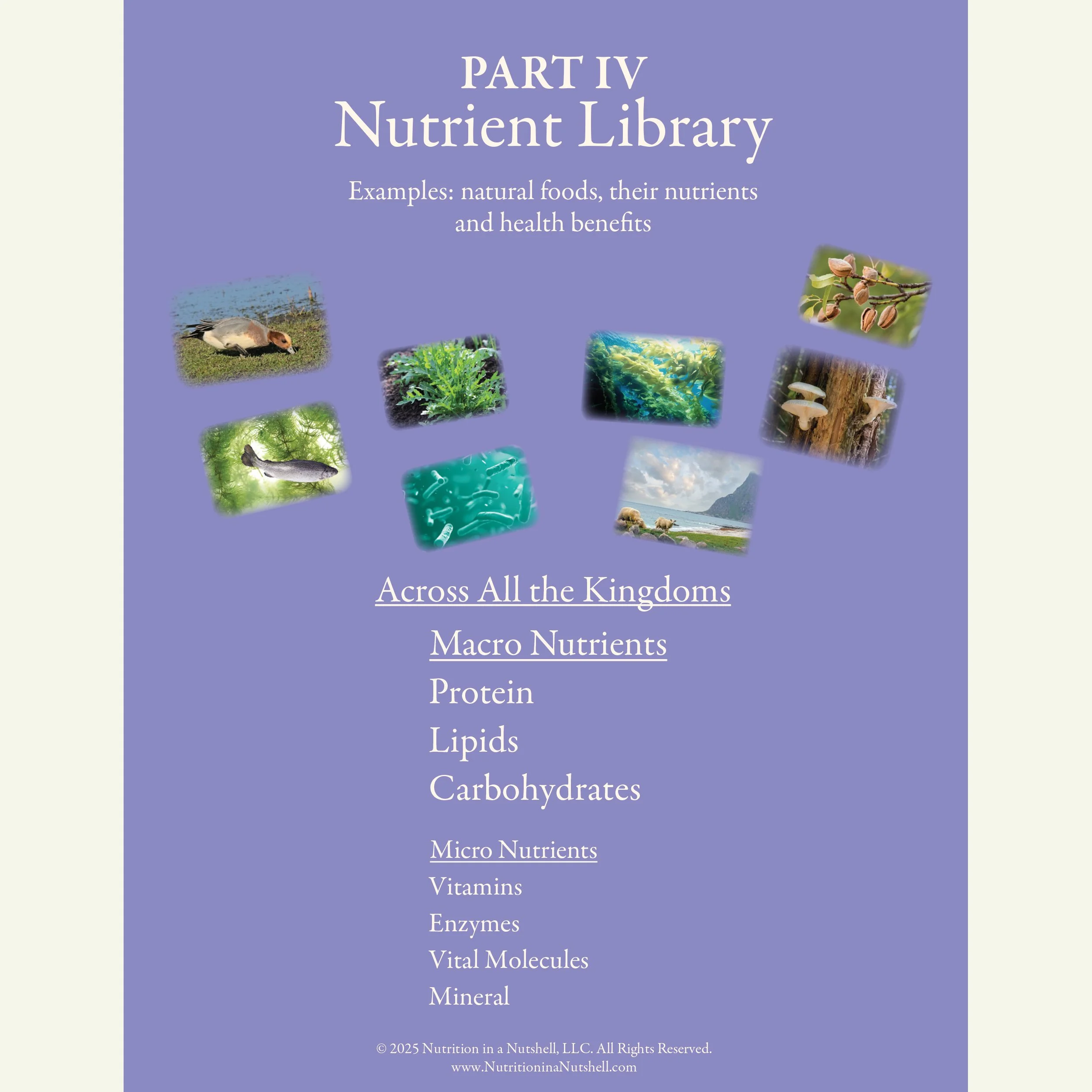 Across All the Kingdoms charts – excerpts from Natural Foods from the Tapestry of Life. PDF DOWNLOAD