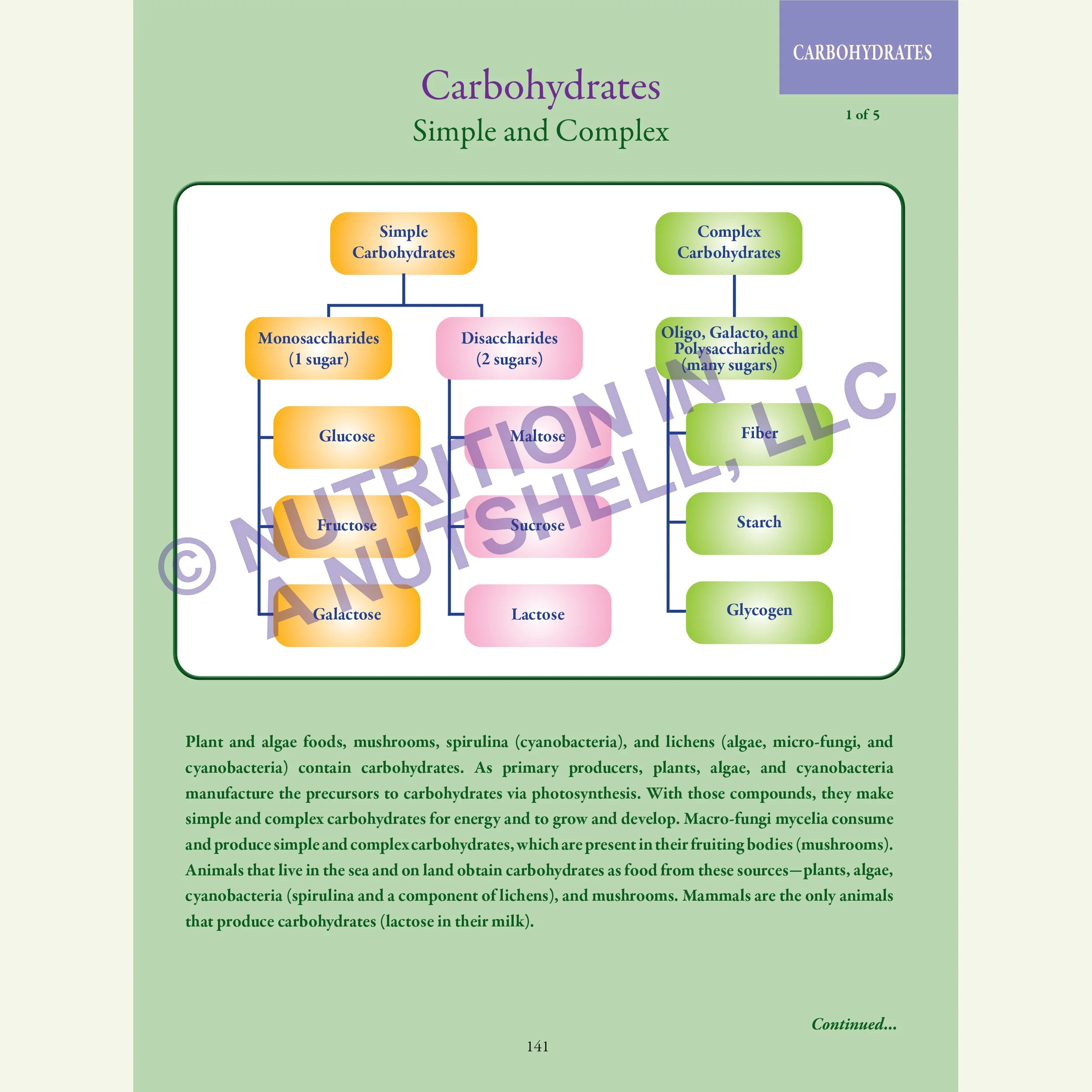 4_Nutrition in a Nutshell_ACROSS_ALL_THE_KINGDOMS_CARBOHYDRATES.jpg
