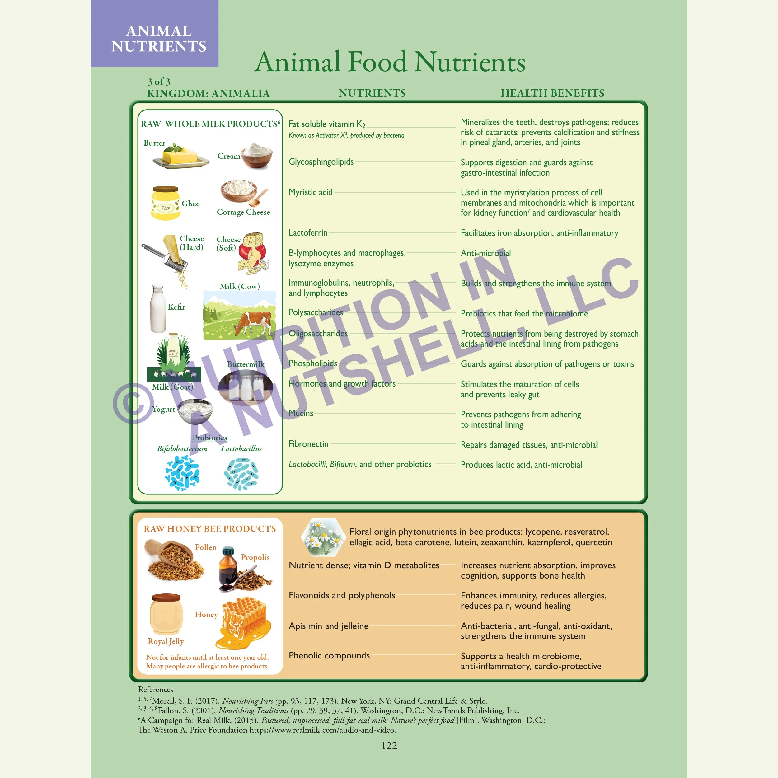 Nutrition in a Nutshell_FIVE_KINGDOMS_OF_LIFE4.jpg